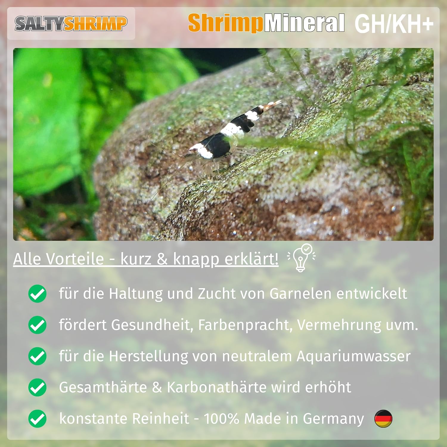 Shrimp Mineral GH/KH+ 100g