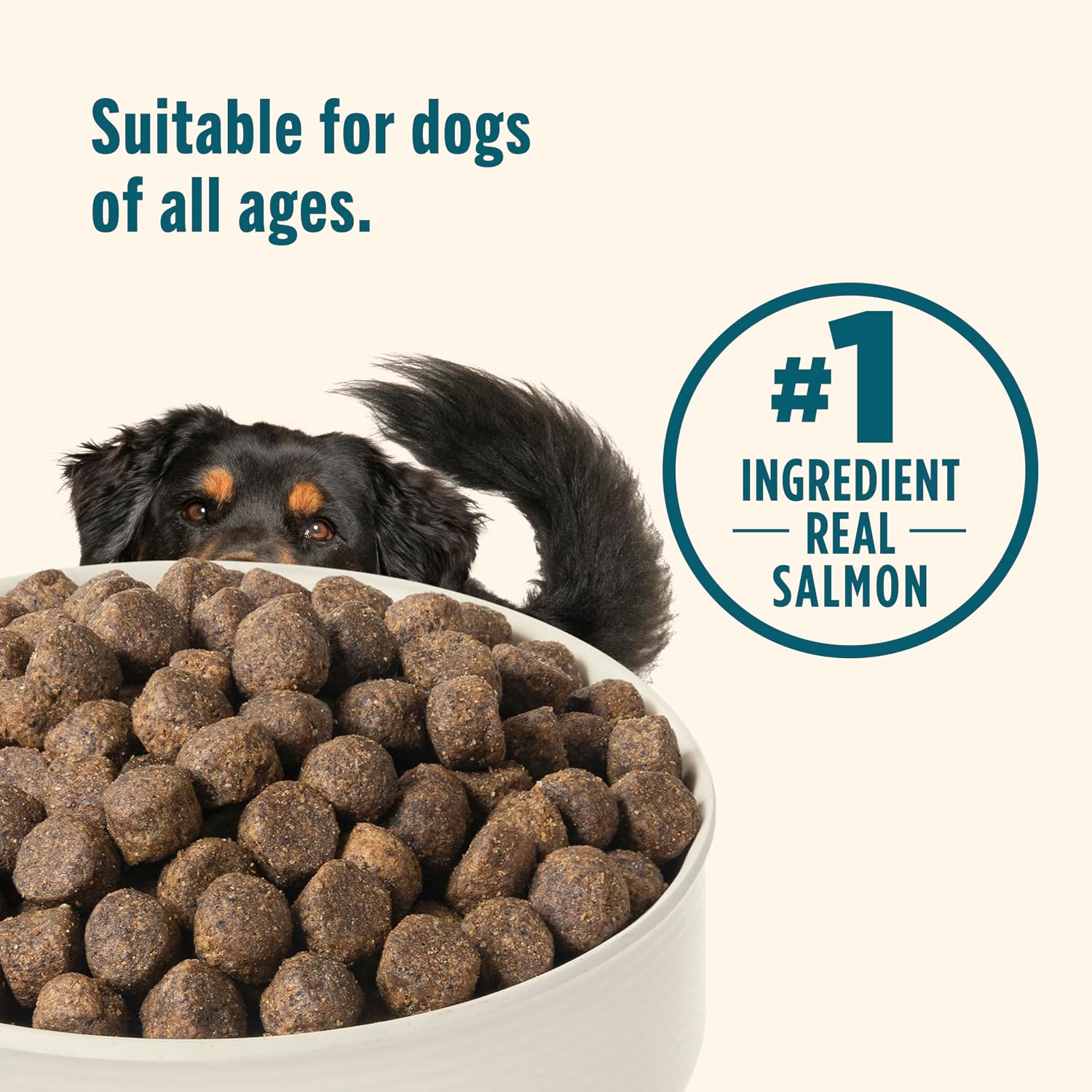 Nutrish Grain Free Salmon Dry Dog Food, 23 lb. Bag (Rachael Ray)