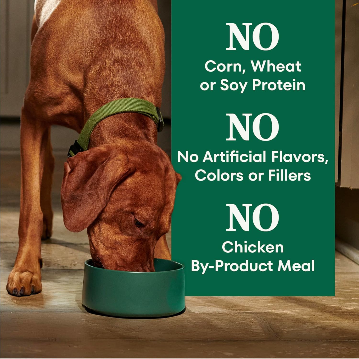 Nutro Natural Choice Large Breed Adult Dry Dog Food, Lamb & Rice, 30 lb | Real lamb #1 ingredient, non-GMO, no corn, wheat, soy, crafted in USA, supports joints, digestion, immunity, skin & coat