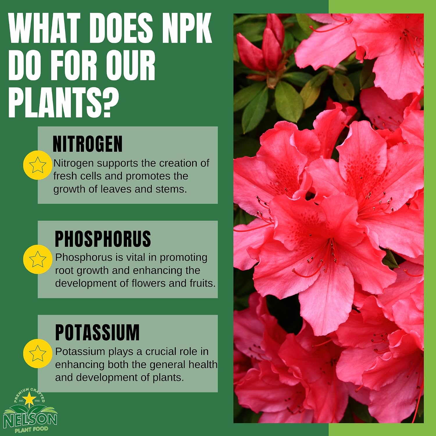 Nelson Plant Food for All Acid Loving Plants In Ground Container Patio Food Huge Blooms Azalea Jasmines Roses Camellias Gardenias NutriStar 9-13-11 (4 lb.)