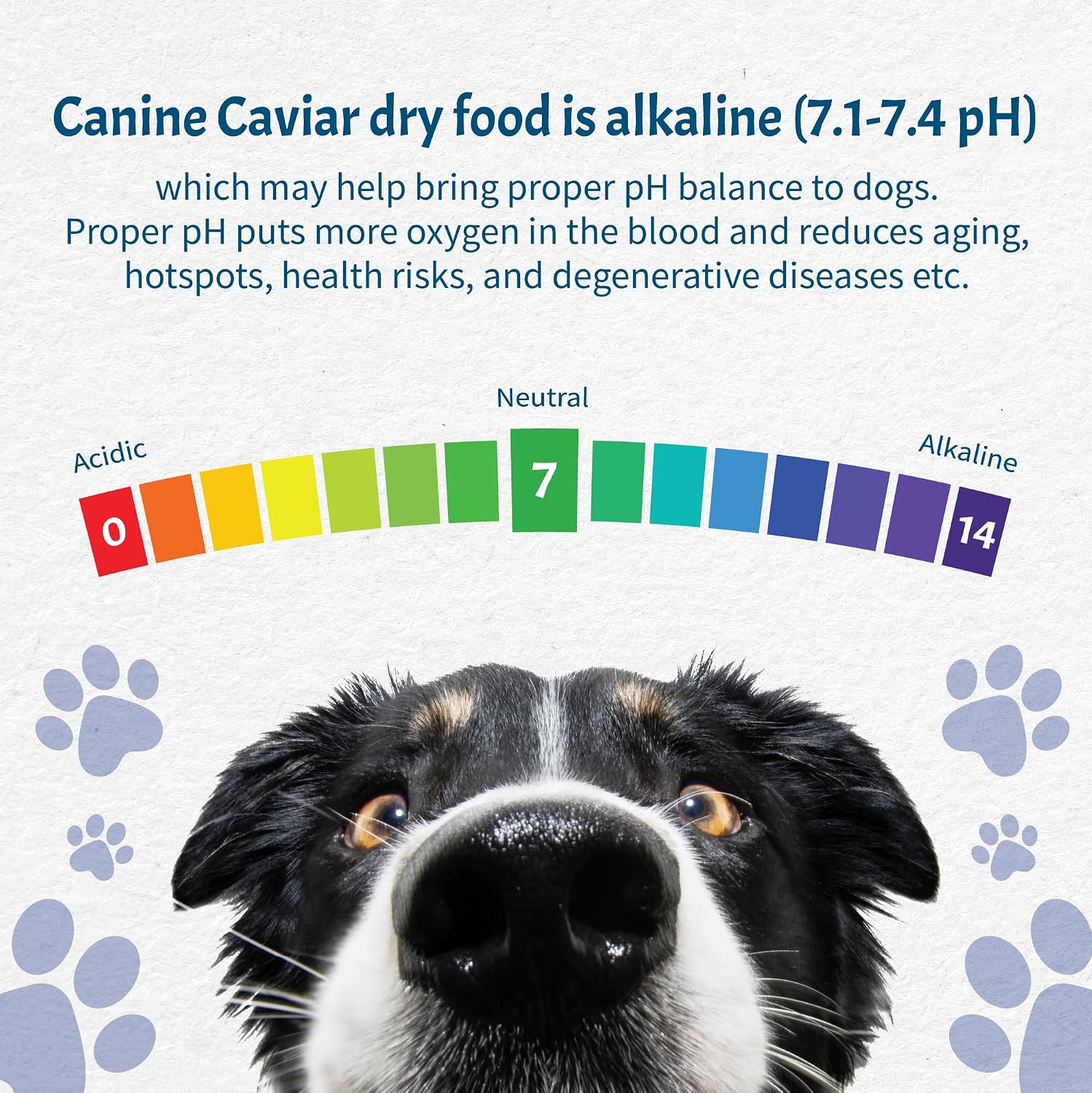 Canine Caviar - Open Range: Water Buffalo & Chickpea Alkaline Dry Dog Food, Limited Ingredients, Gluten-Free, Based on Science & Research, Veterinary Alternative Diet (22 Pound Bag)