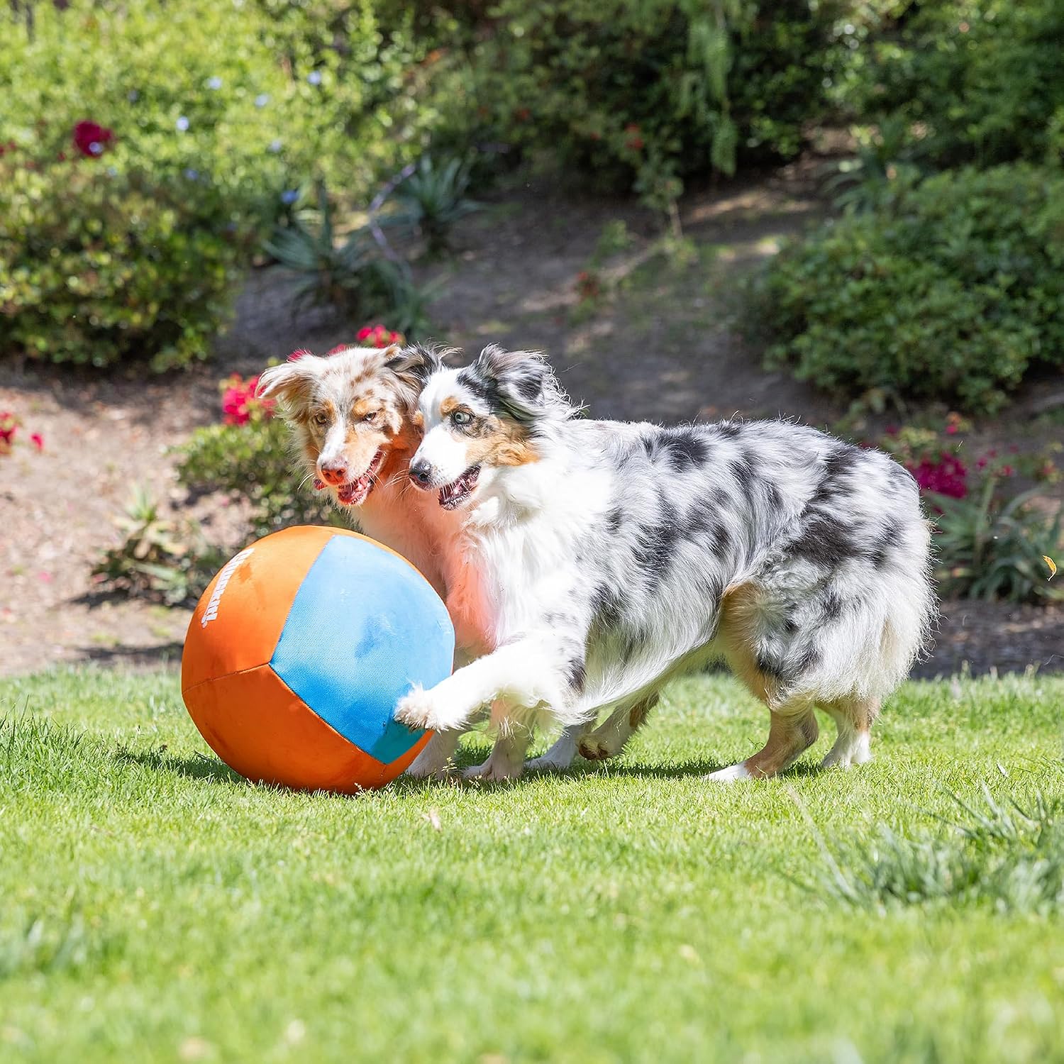 Chuckit! Air Fetch Ball Dog Toy, Small (2 Inch Diameter), for dogs 0-20 lbs, Pack of 2