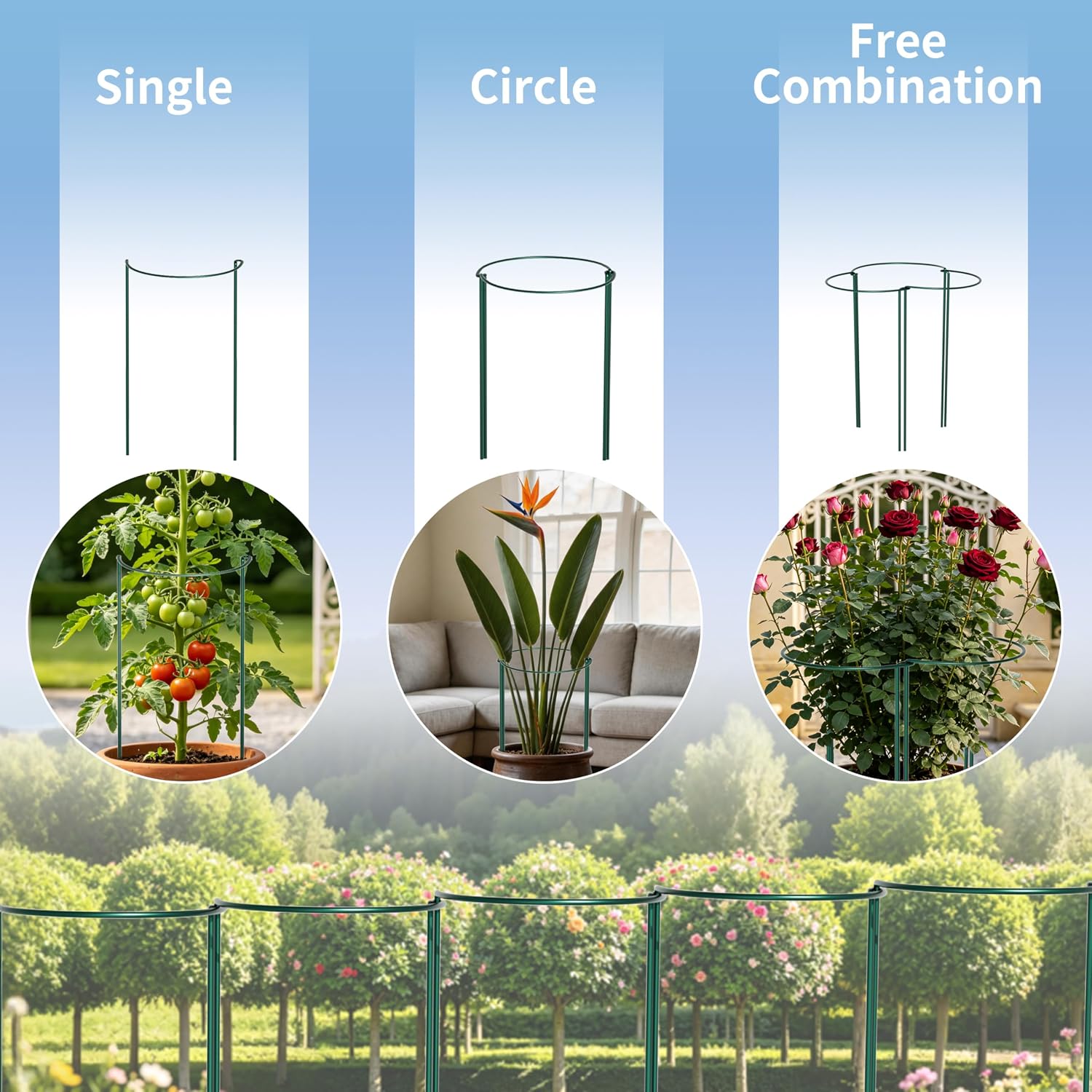 TCBWFY 10 Pack Garden Plant Support Stakes, 10" Widex16 High Heavy Duty Interlinked Half Round Peony Support Ring Cage for Indoor Outdoor Plants