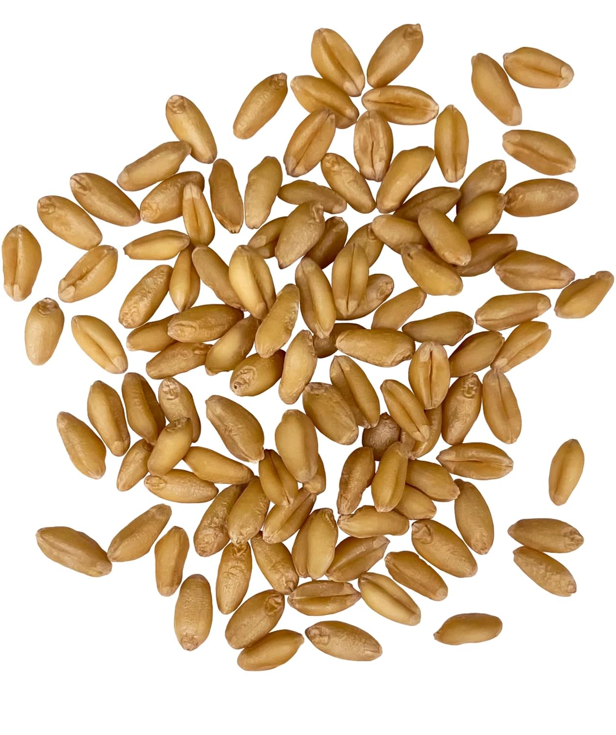 Palouse Brand Certified Glyphosate Residue Free Soft White Wheat Berries | 25 LBS Bulk | Family Farmed in Washington State | Sproutable | Non-GMO Project Verified | Kosher