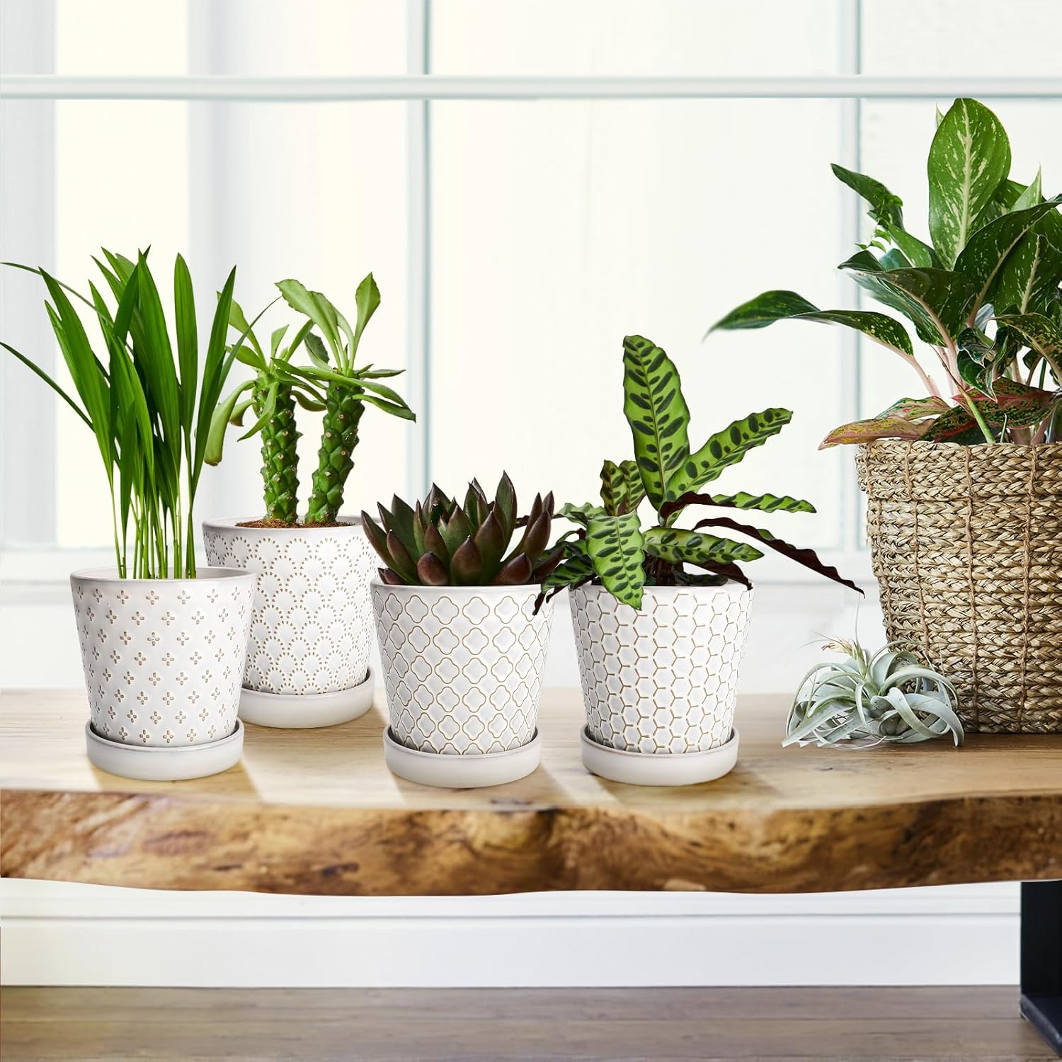 EFISPSS Ceramic Plant Pots, 5 Inch Planters with Drainage Holes and Ceramic Tray, Relief Design Flower Planter