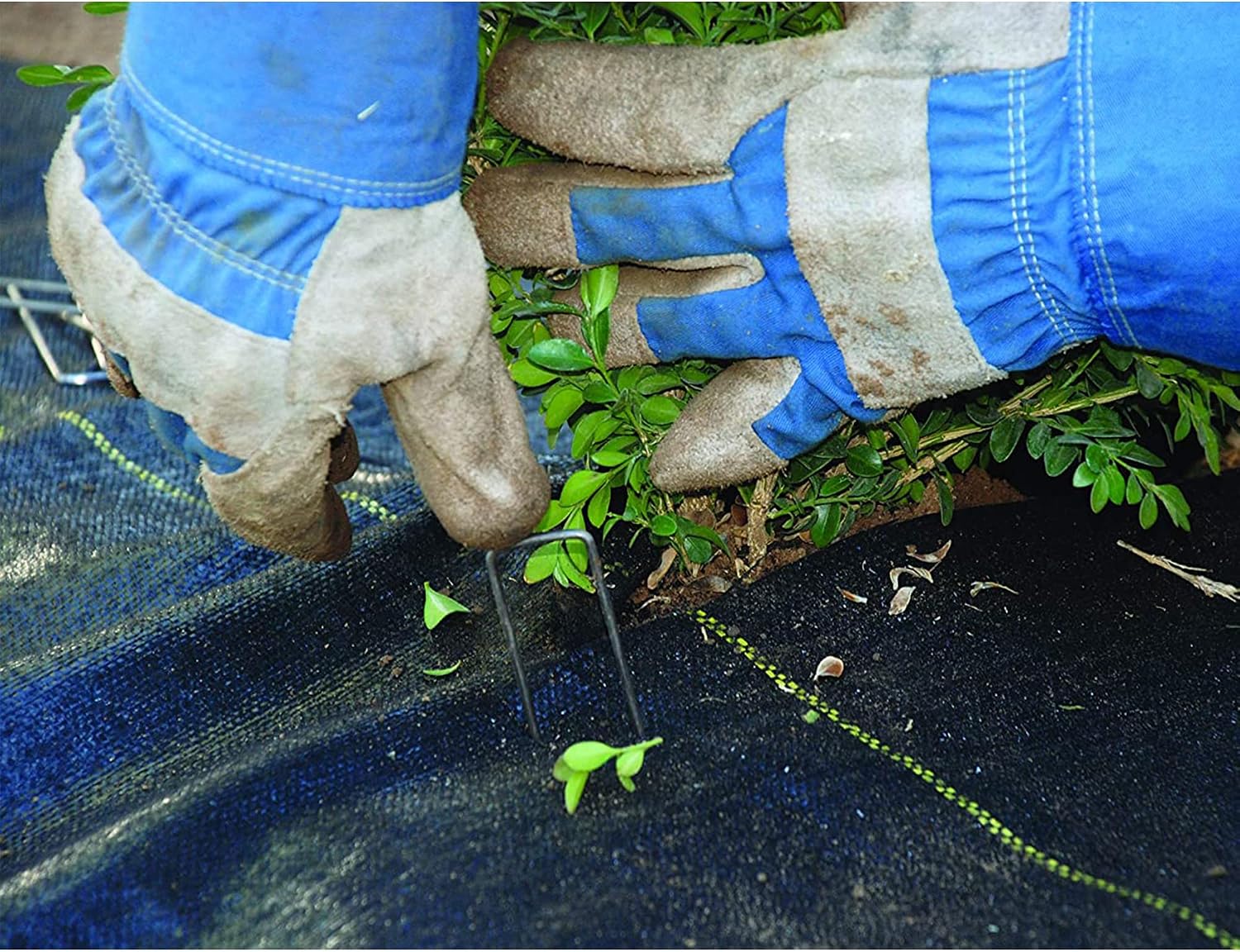 Dewitt Pro-5 Weed Barrier Fabric 5 oz, 6 x 250 Feet – Heavy-Duty | Woven Landscape Ground Cover Mat for Raised Garden Bed, Greenhouse Gardening, Outdoor Landscaping, and Commercial Planting