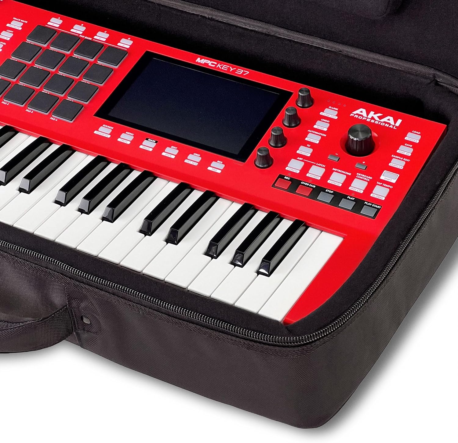Analog Cases Take 5 / TEO-5 Case - Padded Sustain Case with Backpack Straps