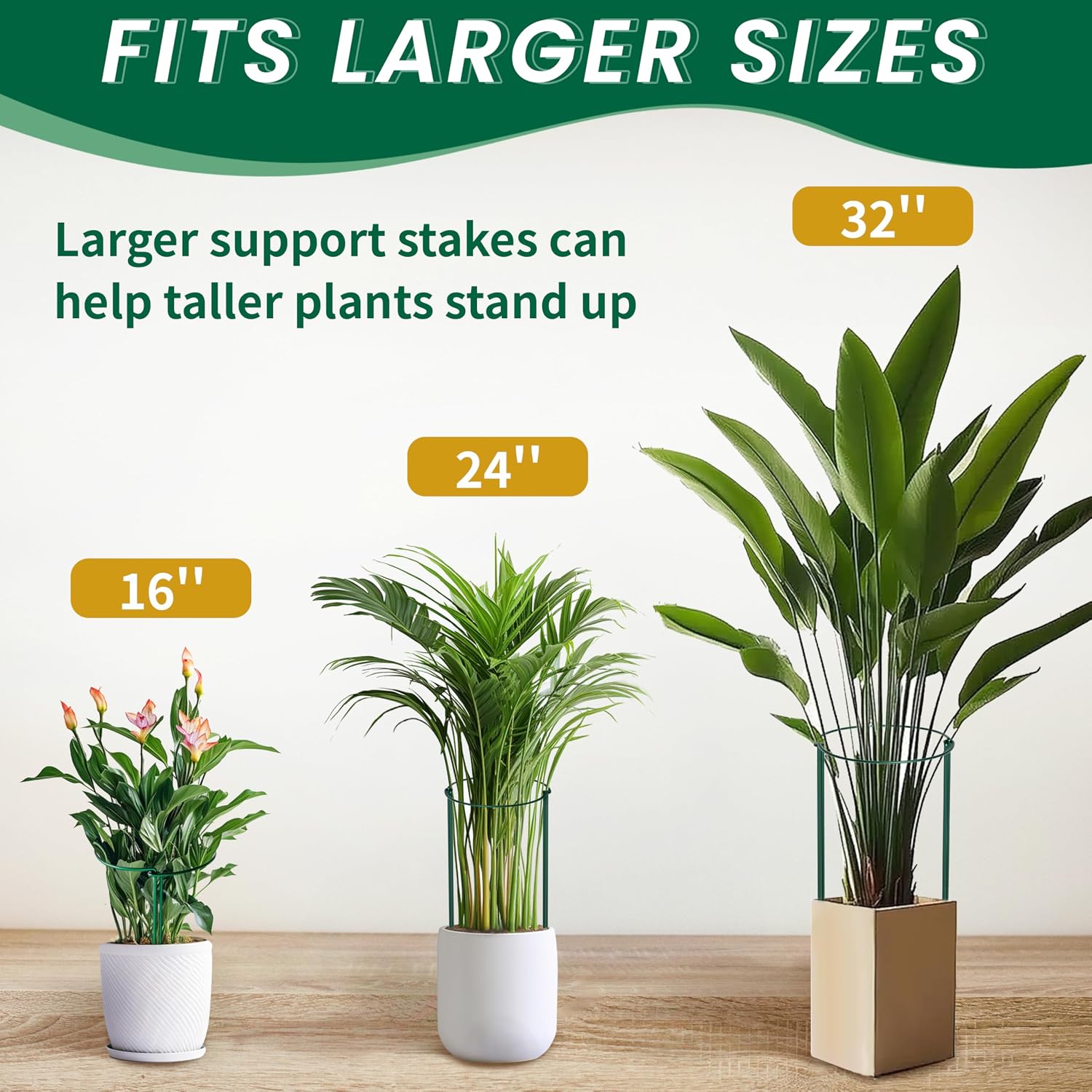 TCBWFY 10 Pack Garden Plant Support Stakes, 10" Widex16 High Heavy Duty Interlinked Half Round Peony Support Ring Cage for Indoor Outdoor Plants