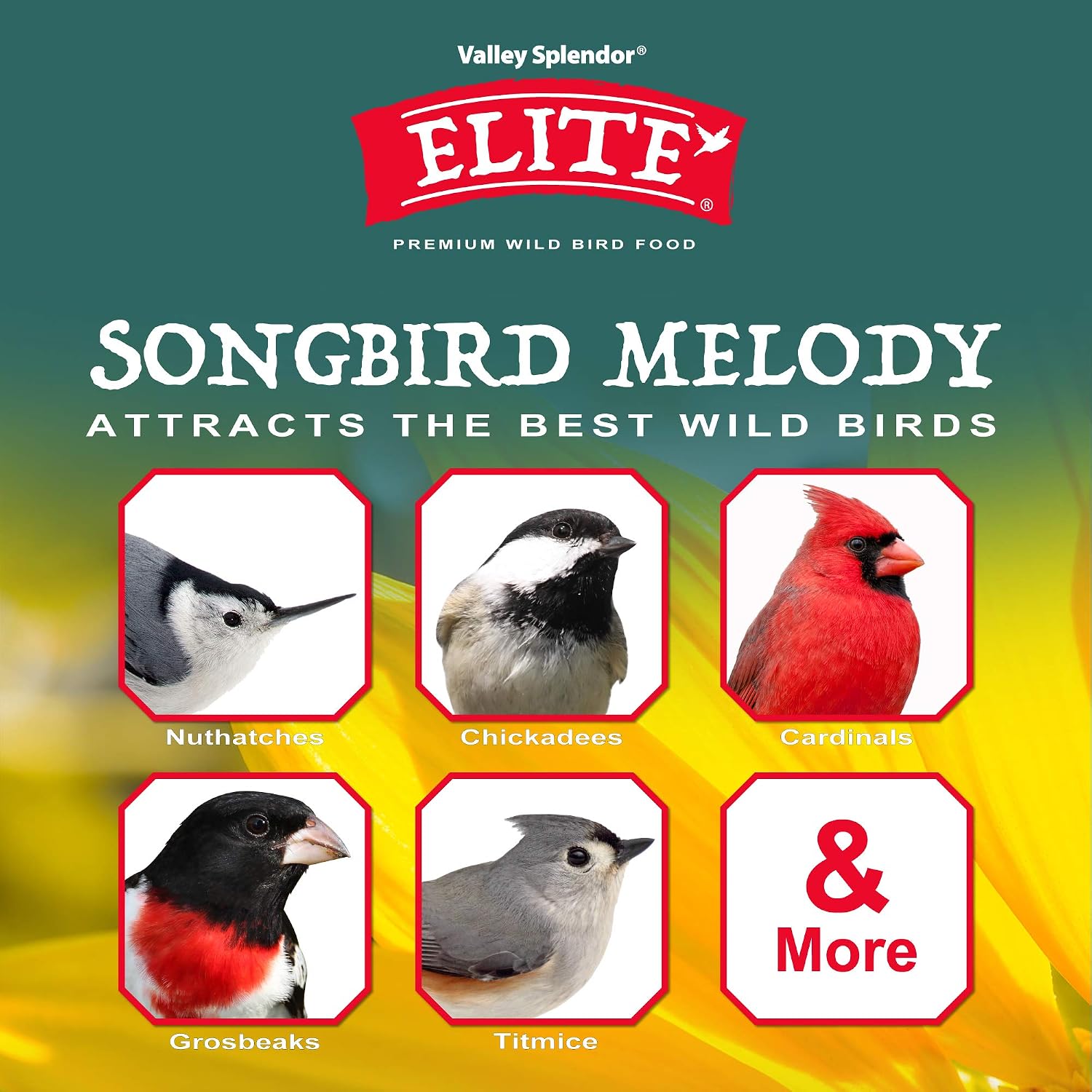Songbird Melody