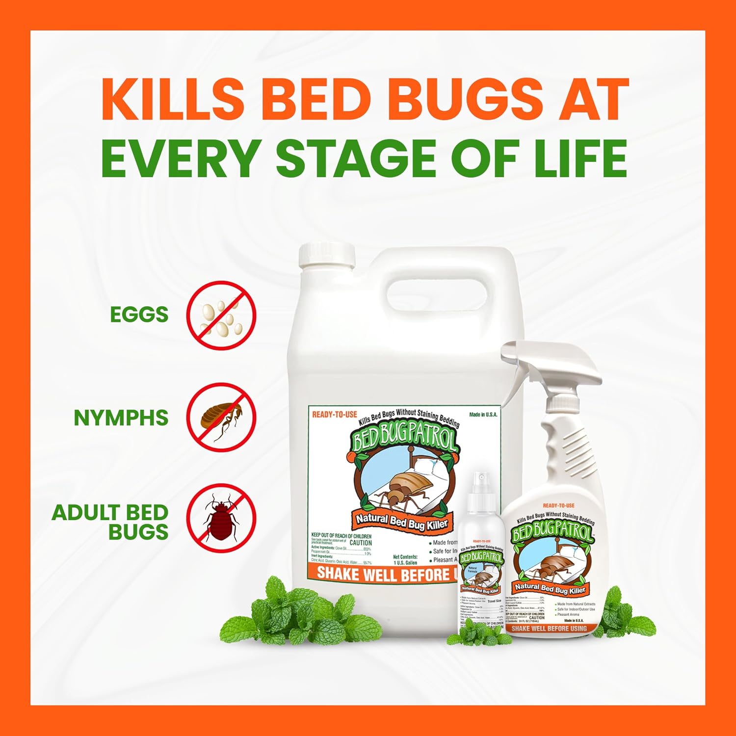 Bed Bug Patrol Bed Bug Spray & Bed Bug Killer for Home, Made in USA - 24 oz | Mattresses, Furniture, Seams, Cracks & Crevices | Targets Adult Bed Bugs, Eggs & Larvae | Plant-Based | Pet & Child Safe