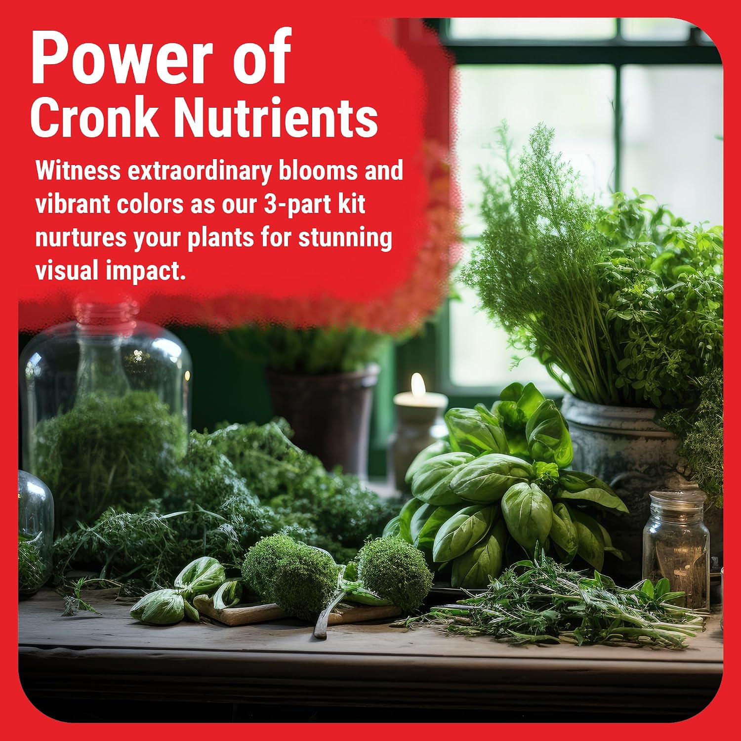 Cronk Nutrients 3-Part Kit: Micro, Grow & Bloom Base Fertilizers, 3 x 1L