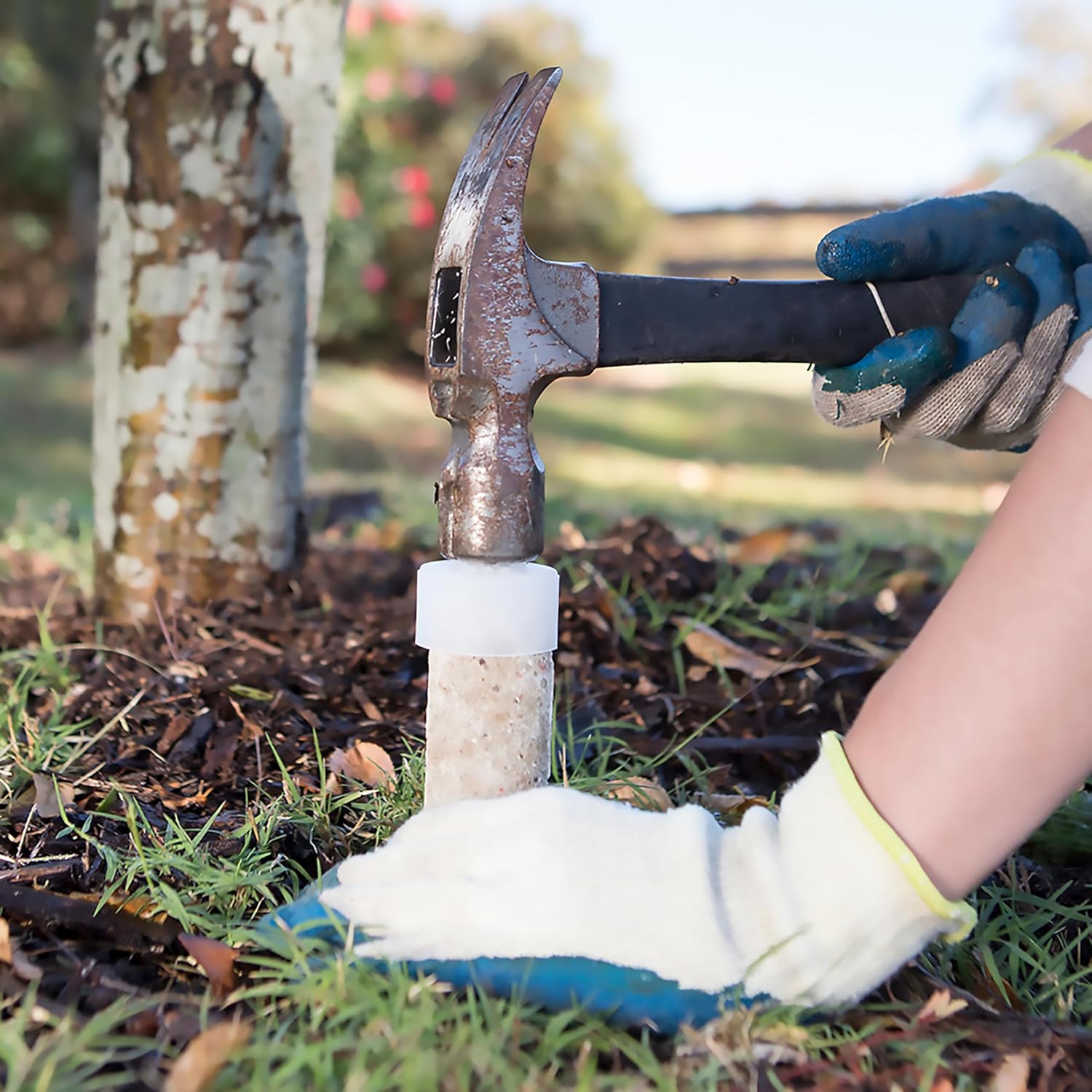 Jobe’s Slow Release Tree and Shrub Fertilizer Spikes, Easy Plant Care for Oak, Maple, Dogwood, Boxwood, and Many More Acid Loving Trees and Shrubs, 9 Count