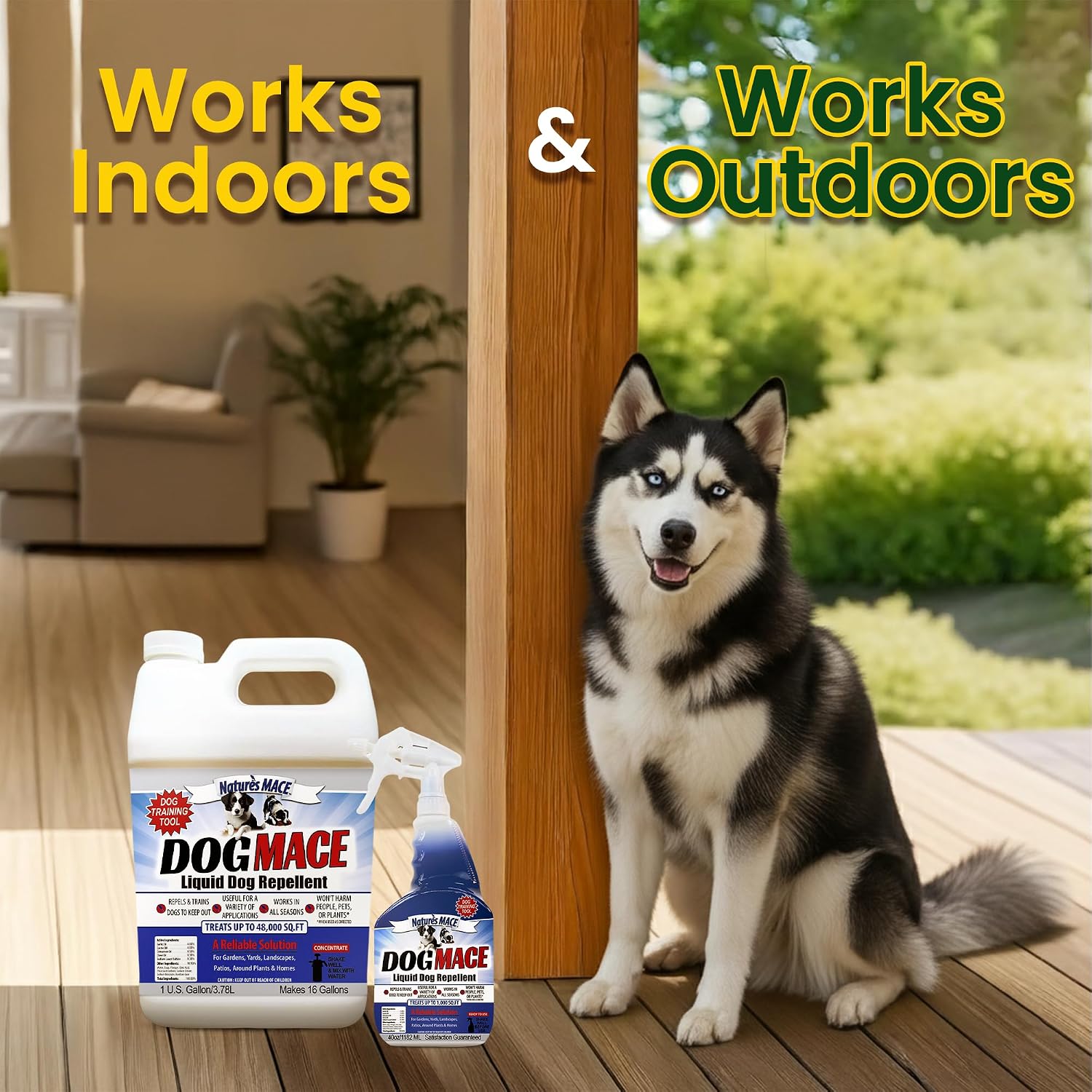 Nature's MACE Dog Mace Dog Repellent 1 Gallon Concentrate | Potty Training Tool Spray, Indoor & Outdoor, Pee Deterrent, Safe Around Kids, Pets, Garden & Plants, Treats 48,000 Sq. Ft.