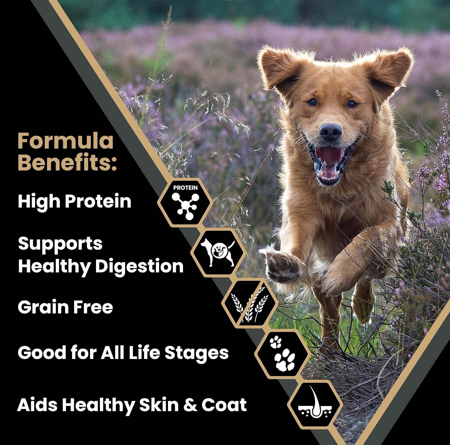 VICTOR Grain Free Ultra Pro Dry Dog Food - High Protein Dry Kibble, 30 lb | Super Premium Dog Food, Low carb for Active Dogs, 42% Protein Kibble, For Sporting Dogs of All breeds and Sizes, 30lbs