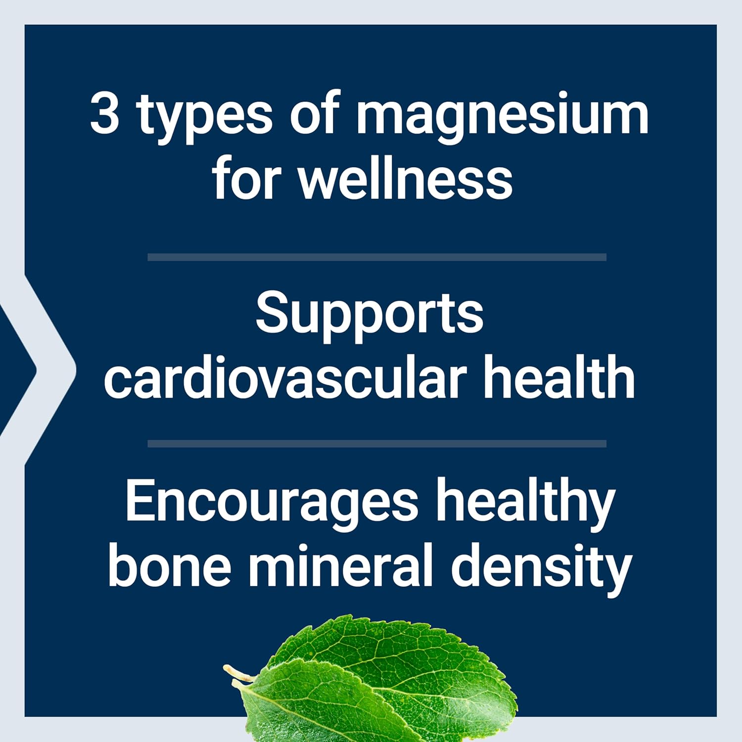 Life Extension Magnesium Caps, 500 mg, Magnesium Oxide, Citrate, and Succinate, Heart Health, Healthy Bones, Metabolism Support, 100 Vegetarian Capsules | Magnesium Oxide, Citrate & Succinate Blend for Heart Health, Healthy Bones & Metabolism, 100 Vegeta…