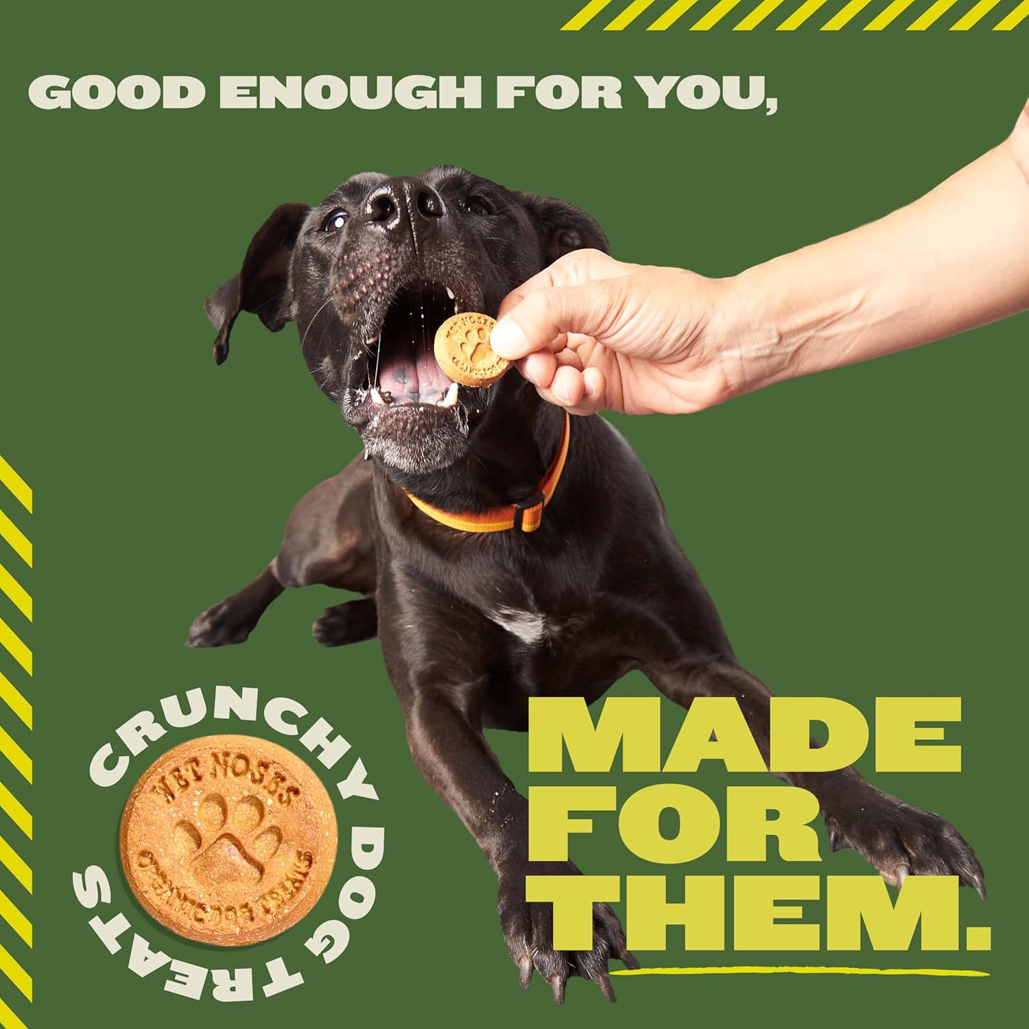 Wet Noses Organic Crunchy Dog Treats – All-Natural, Human-Grade, Non-GMO, Healthy Training & Delicious Snacks for Dogs