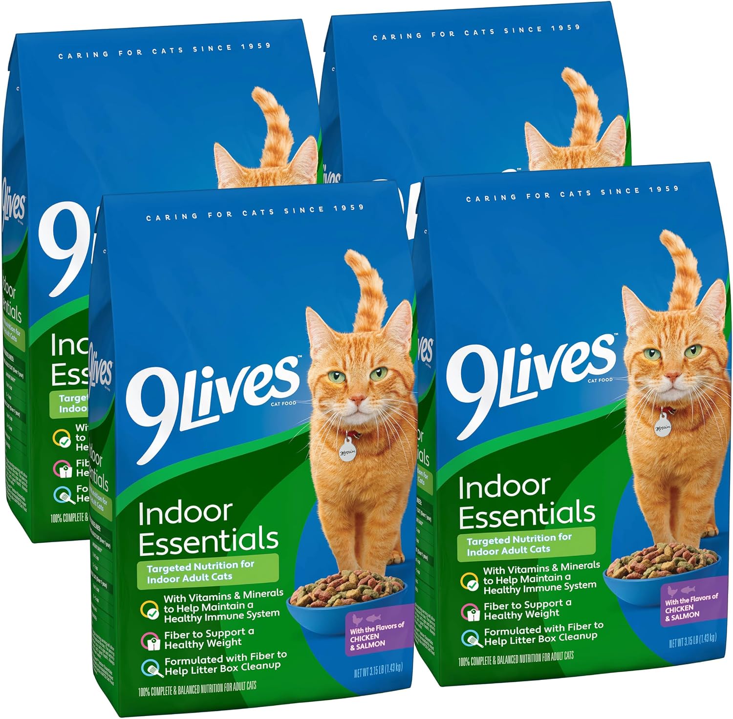 9Lives Indoor Essentials Dry Cat Food with Chicken & Salmon, 12 lb. Bag | 100% Complete & Balanced Nutrition For Indoor Adult Cats With Lean Protein & Fiber To Help Support A Healthy Weight