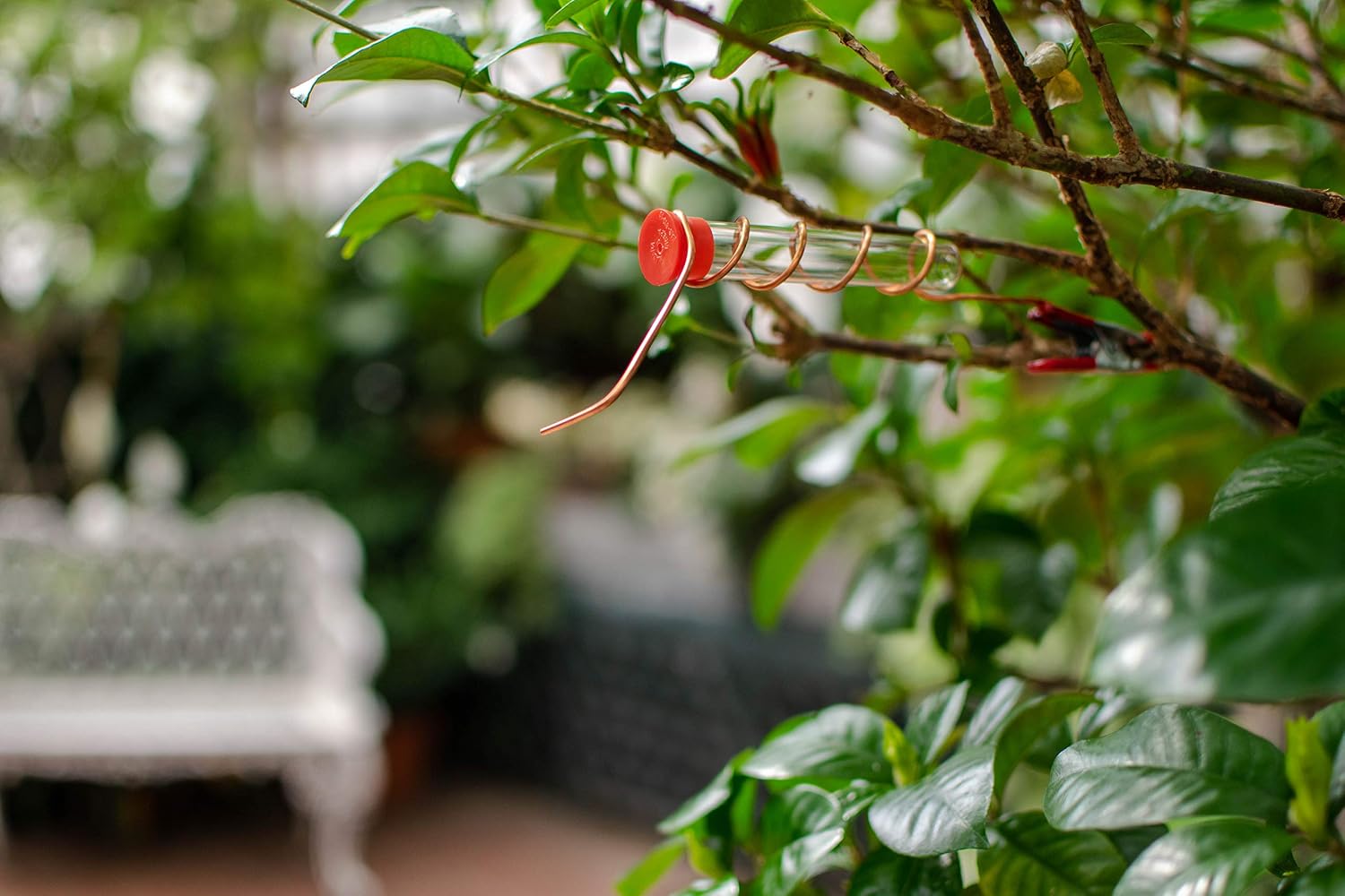 RELODECOR Hummingbird Feeder Tubes with Red Cap, 12 Pack