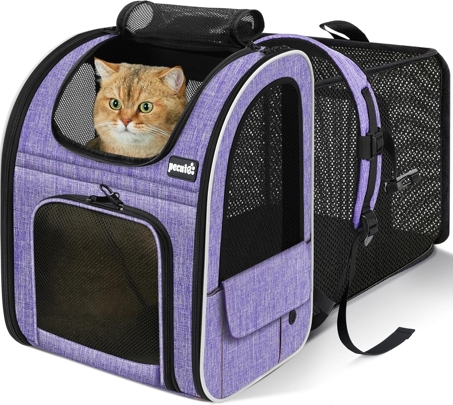 pecute Cat Backpack Expandable, Cat Carrier Backpack with Breathable Window