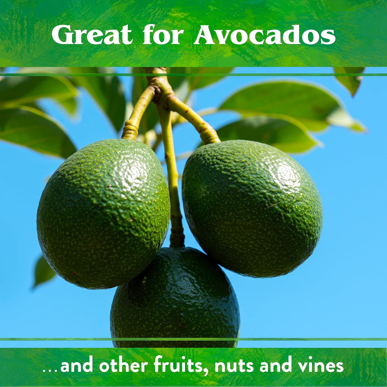 Down To Earth All Natural Fertilizers Organic Citrus Mix - 6-3-3, 1 lb | Plant Food for Lemons, Limes, Oranges, Avocados, Fruit Trees, Vines, Contains Nitrogen, Zinc, Iron, For Blossoms and Fruits