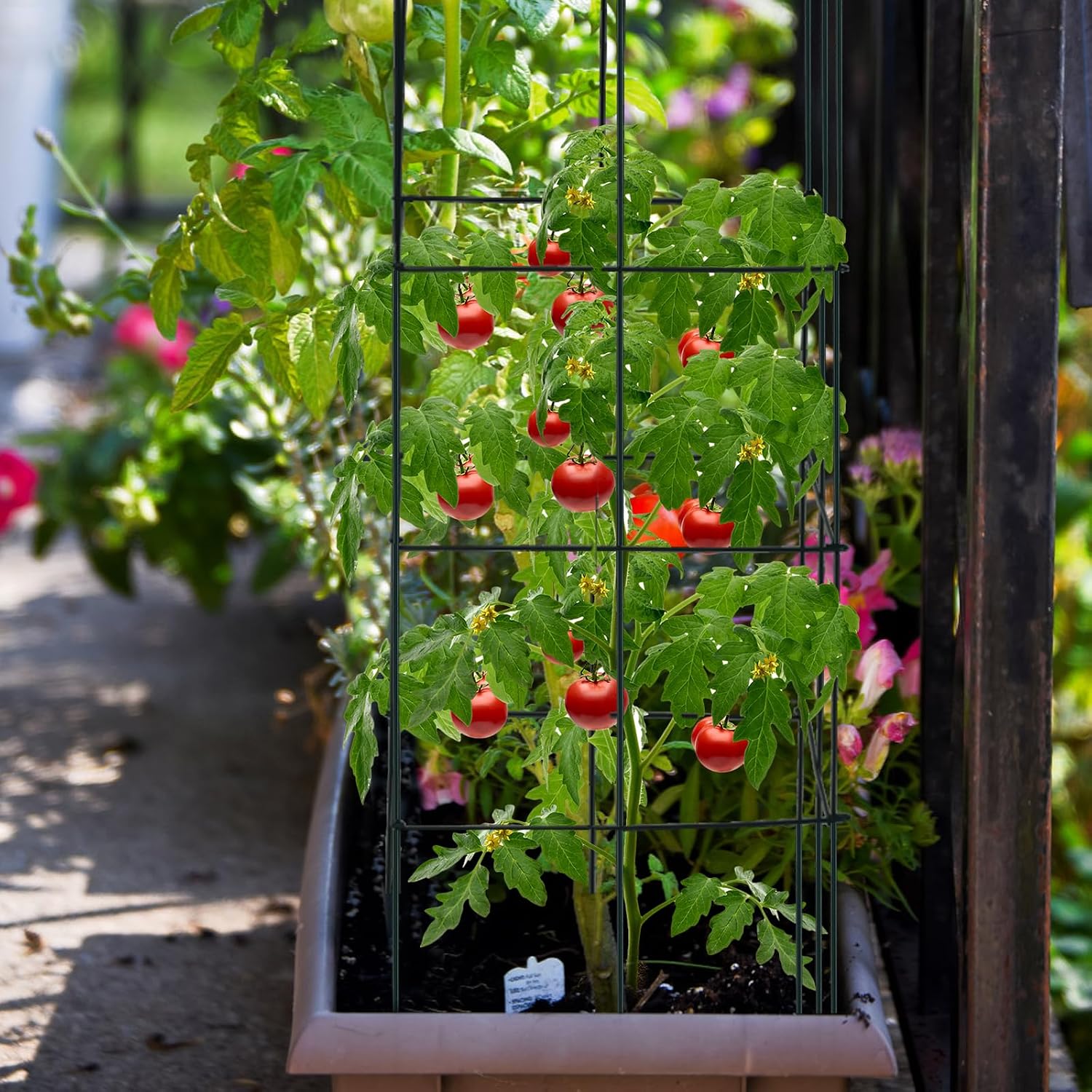 S AFSTAR 4 Pack Folding Tomato Cages, 39 Inches Tall Square Plant Support Cage for Garden Climbing Plants Flowers Fruits
