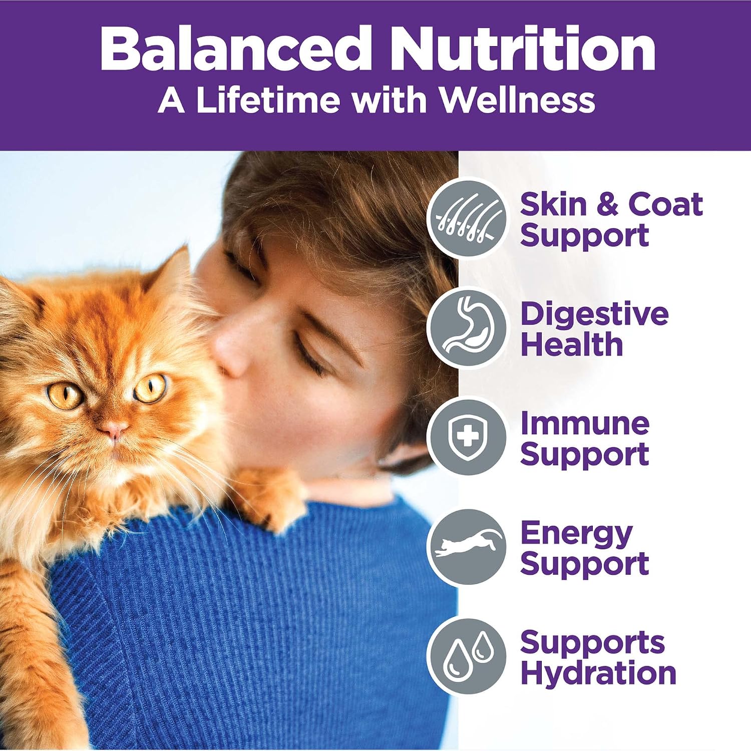 Wellness Complete Health Pate Variety Pack Adult Canned Wet Cat Food, Natural, Protein Rich, Grain Free, Chicken and Turkey Favorites, 3 oz