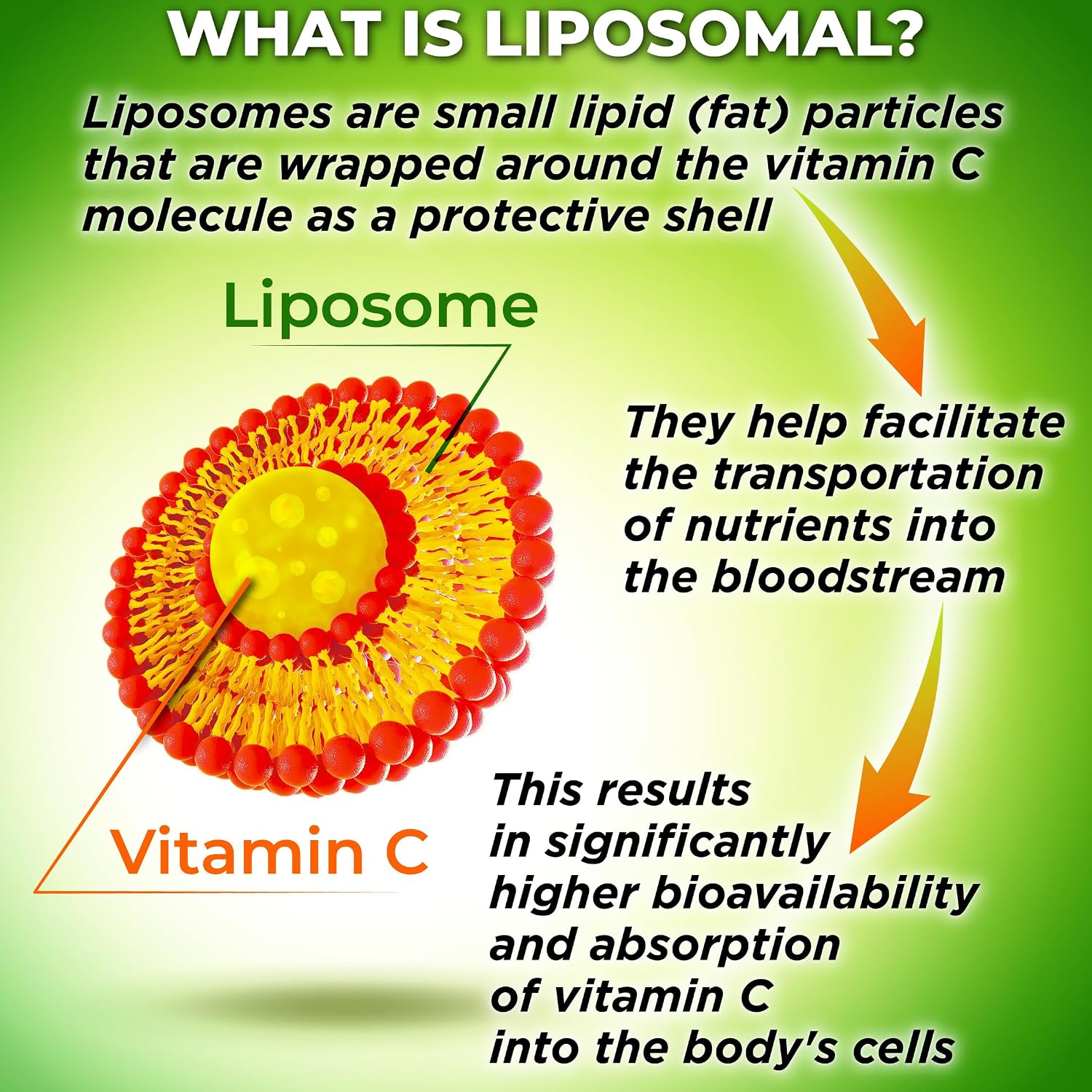 Liposomal Vitamin C Supplement 1500mg with Organic Acerola & Camu Camu