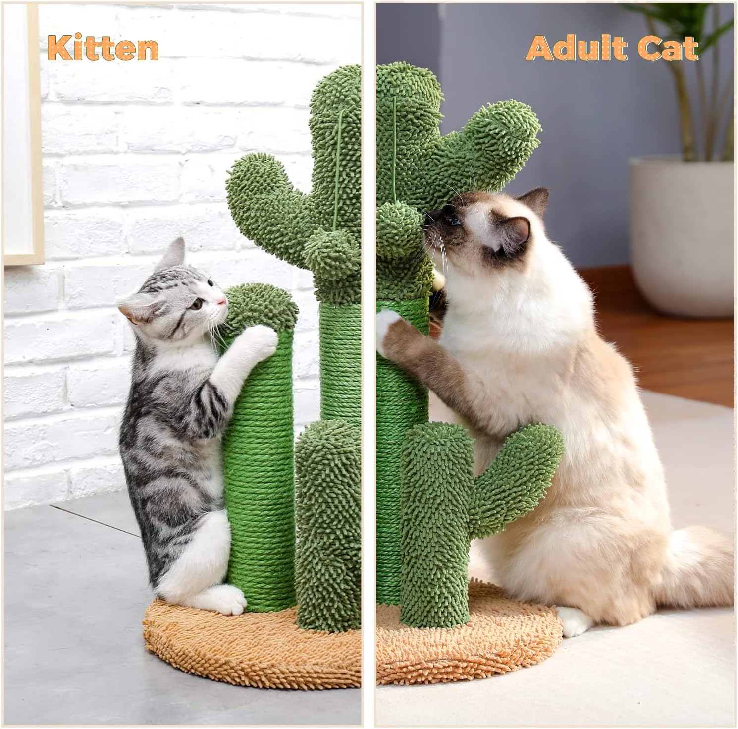 PAWZ Road Cactus Cat Scratching Post 23”Cat Scratcher with Toy Ball