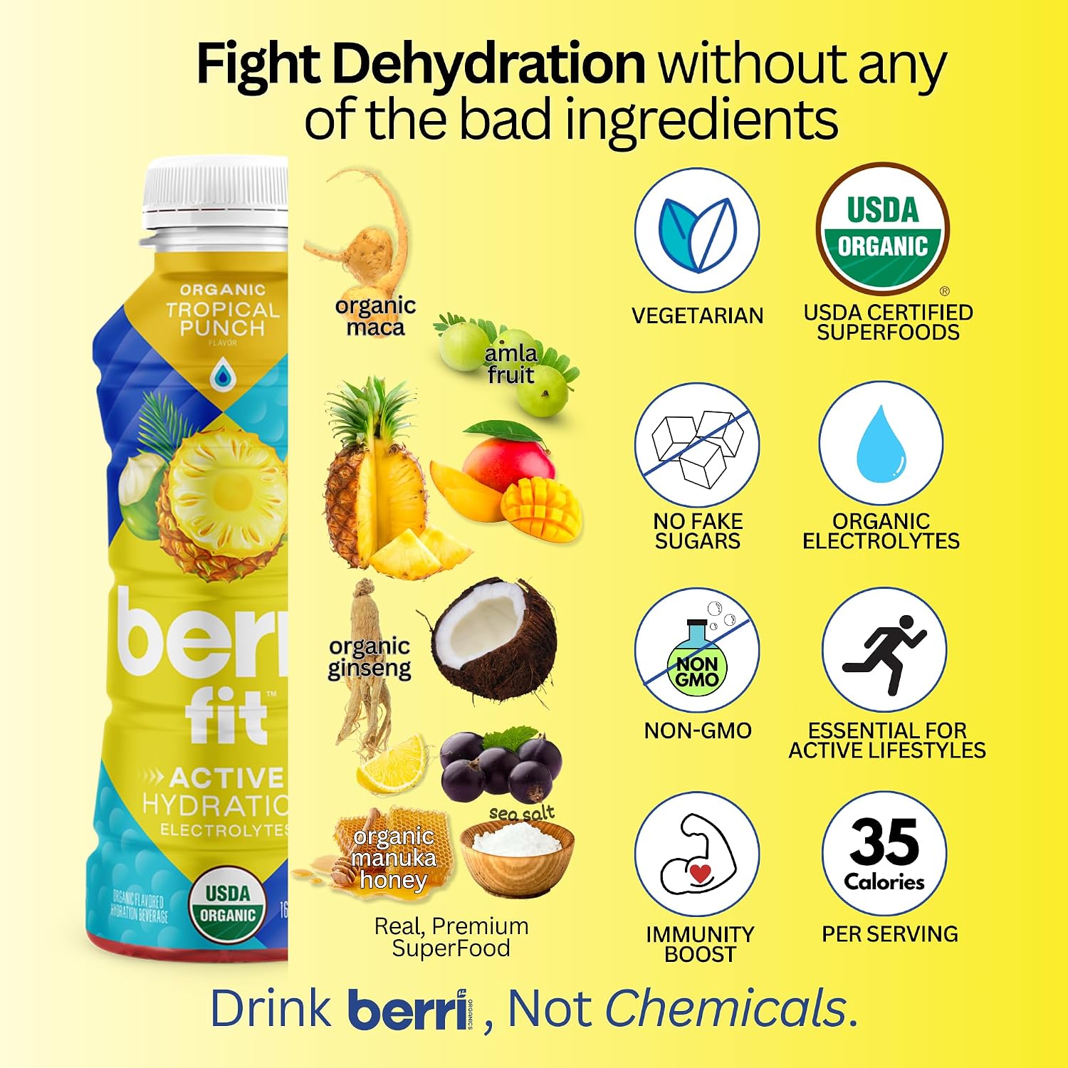 Berri Fit Hydration, 4ct, Organic Dragon Fruit Flavor Natural Sports Drink