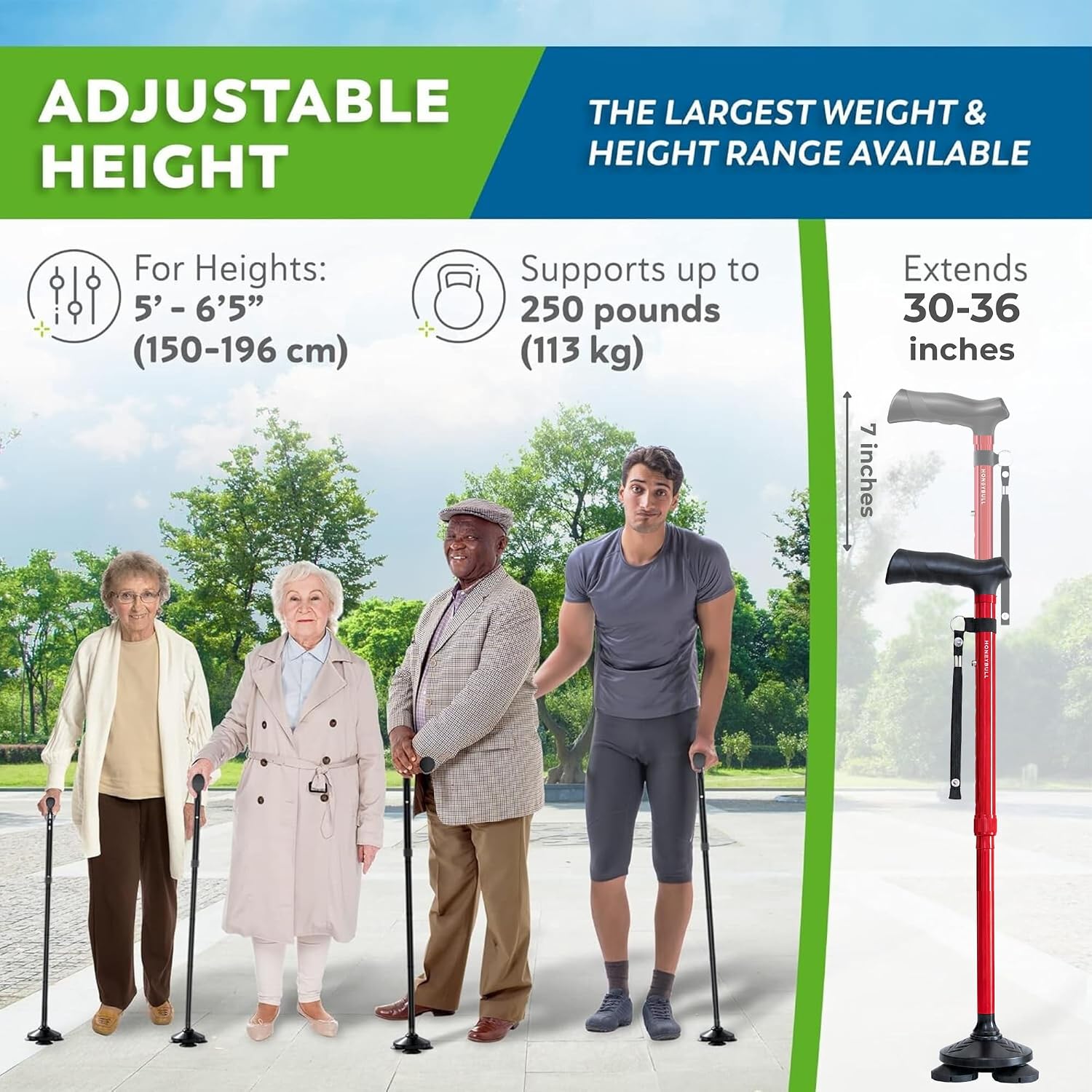 HONEYBULL Walking Cane for Men & Women, Foldable Free Standing Cane | Adjustable height, collapsible design, heavy-duty, pivot base for stable support, ergonomic handle