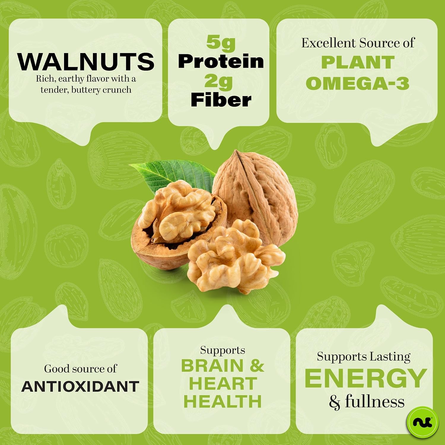 NUT CRAVINGS - Raw Walnuts In Shell, Whole, (80oz - 5 LB)