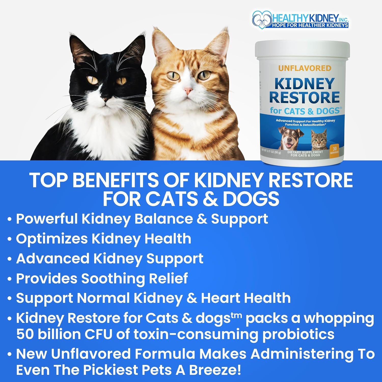 Cat and Dog Kidney Support, Natural Renal Supplements to Support Pets, Feline, Canine Healthy Kidney Function and Urinary Tract. Essential for Pet Health, Pet Alive, Easy to Add to Cats and Dogs Food