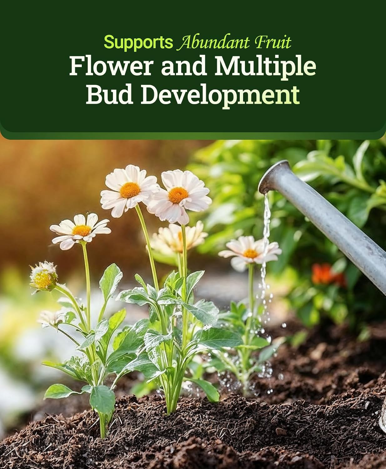 FoxFarm Tiger Bloom Liquid Plant Food - Phosphorus Fertilizer for Buds, Blooms & Flowering - Supports Soil & Hydroponic Systems - High Micronutrient Formula with 2-8-4 Nutrient Ratio - 1 Quart