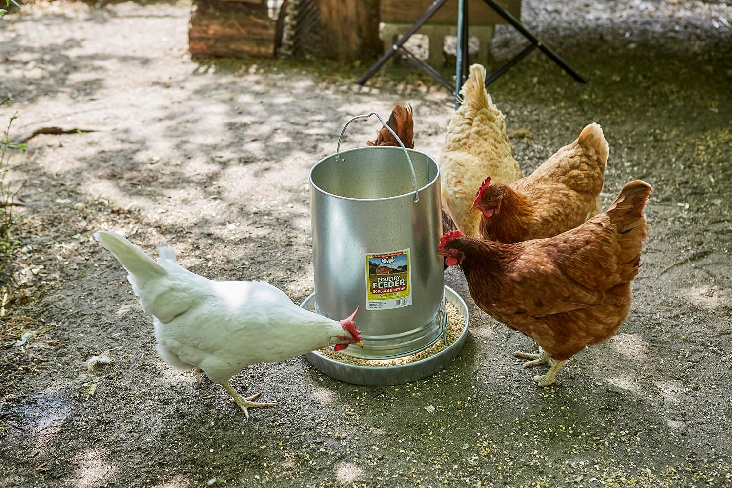 Little Giant® Hanging Metal Poultry Feeder | Chicken Feeder | Outdoor Hanging Bird Feeder | Galvanized Steel Feed Container with Hanging Handle | 40 Pound