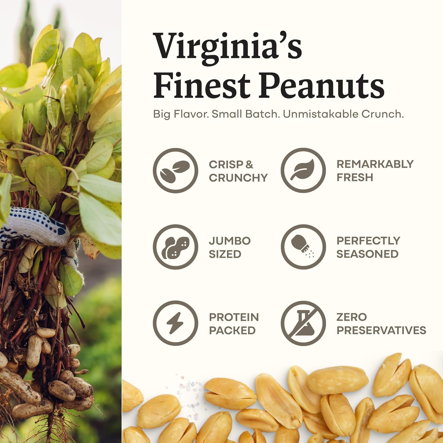 Belmont Peanuts Gourmet Sea-Salted Virginia Peanuts, 20 oz (1 Pack) – Only 3 Simple Ingredients, No Preservatives, 7g Protein – A Premium, Salty, Crunchy, Hand Seasoned Snack