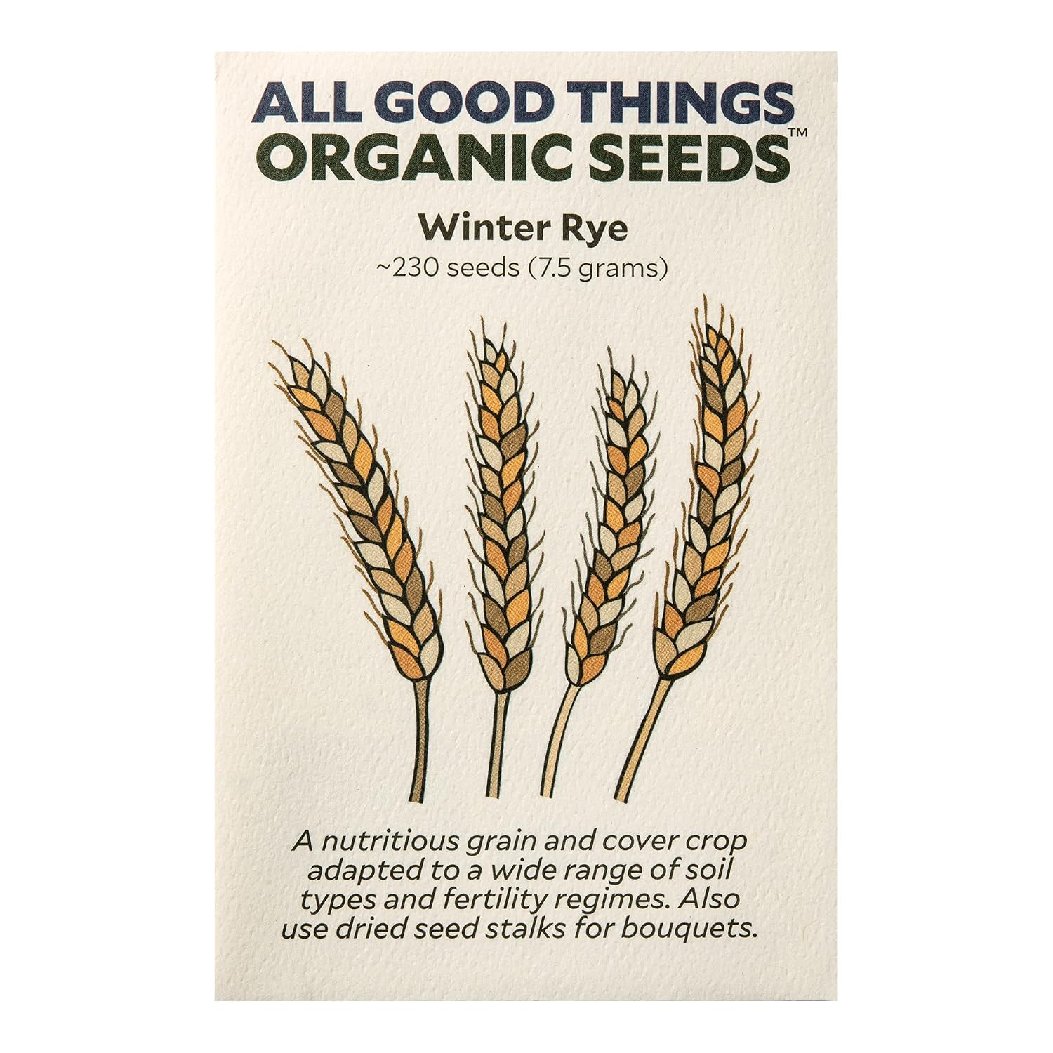 All Good Things Organic Hard Red Spring Wheat Seeds for Planting: 200 Count | Classic Bread-Baking Wheat, High-Protein Hard Red Kernels, Homestead Grain Plot Staple, Doubles as Cover Crop, Non-GMO