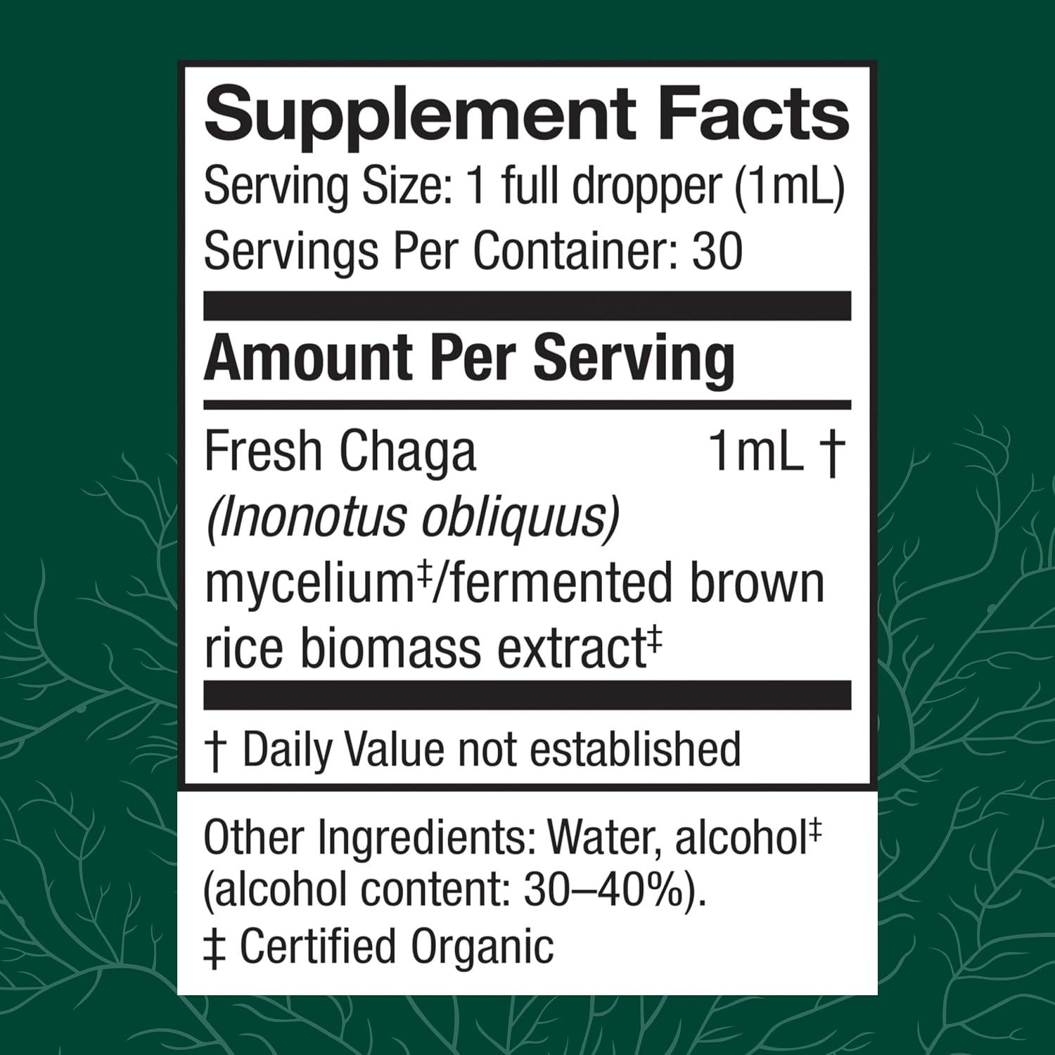 Host Defense Chaga Extract - Immune System Support Supplement - Chaga Mushroom for Antioxidant Activity Support - Liquid Dietary Mushroom Supplement - 2 fl oz (60 Servings)*