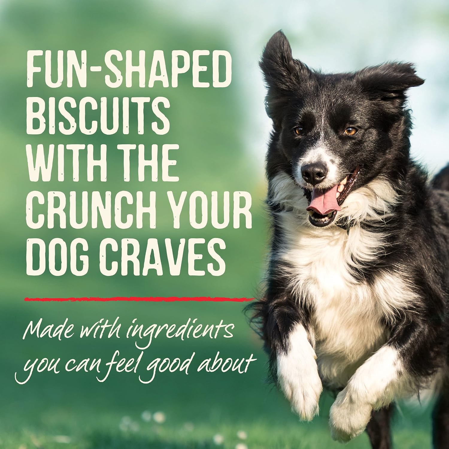 Merrick Oven Baked Dog Treats, Natural and Crunchy Bag of Treats, Pumpkin Patch with Real Pumpkin Snack