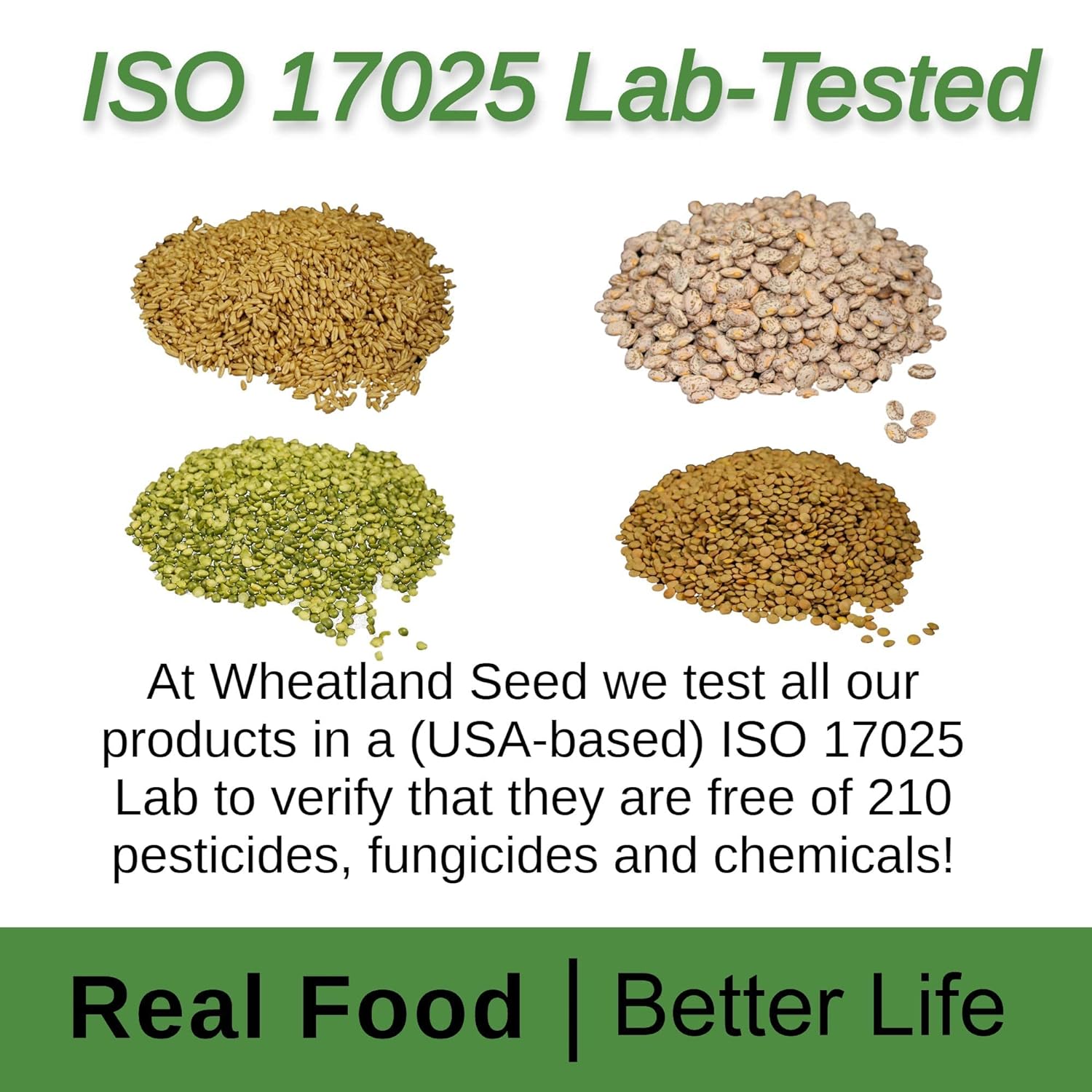 Hard Red Wheat Berries : Wheatland™ : 25 lb Bulk: Emergency Preparedness : Mylar : Oxygen Absorber : 30 Year Shelf Life : Non GMO: NO Glyphosate :