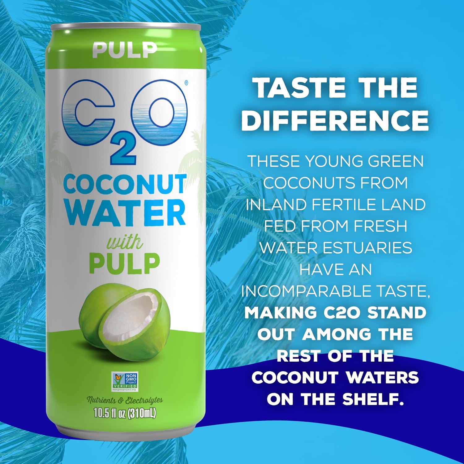 C2O - Coconut Water with Pineapple (12 Pack) - Made with Fresh Coconut Water - Plant Based - Non GMO - Canned Water - Natural Hydration, Essential Electrolytes, & Potassium - 12 Cans, 17.5 FL OZ