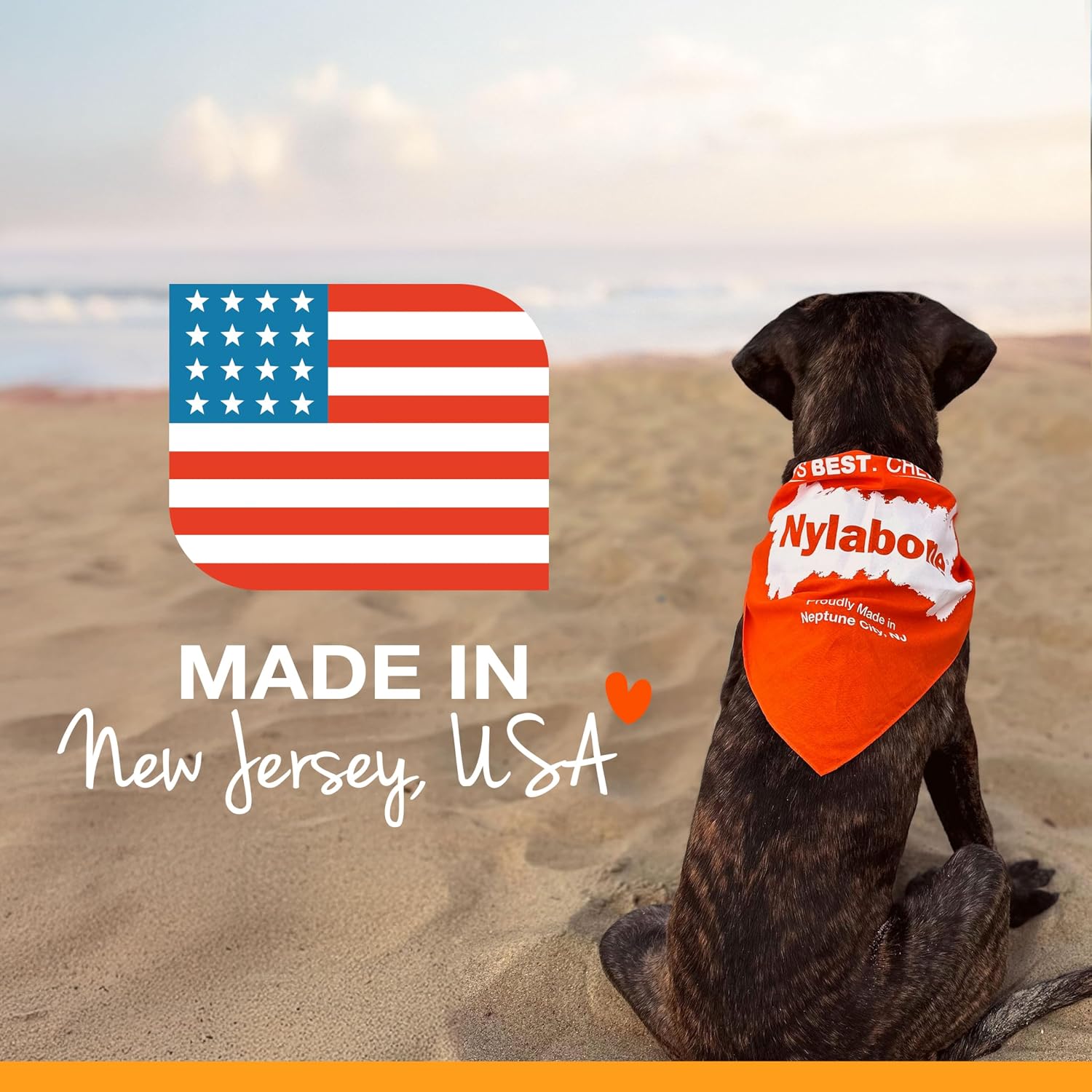Nylabone Healthy Edibles Wild Dog Treats, Venison Flavor, Large | Natural dog chew bones, made in USA, highly digestible dog chews, long lasting chews for large dogs up to 50 lbs