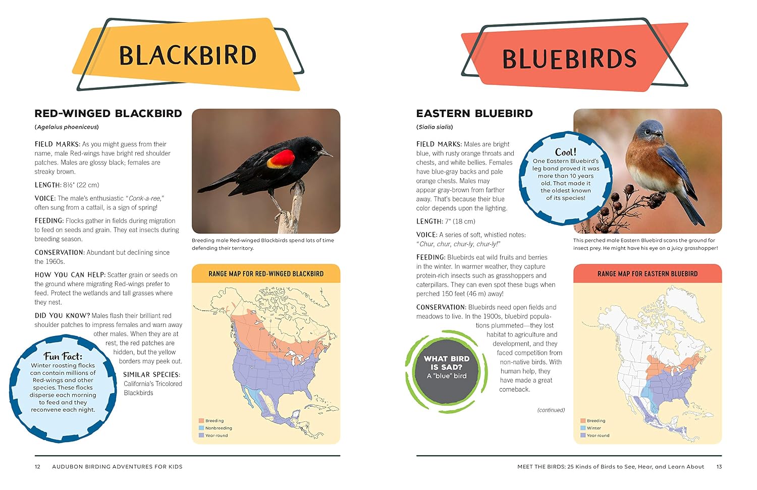 Birding Adventures for Kids: Activities and Ideas for Watching, Feeding, and Housing Our Feathered Friends