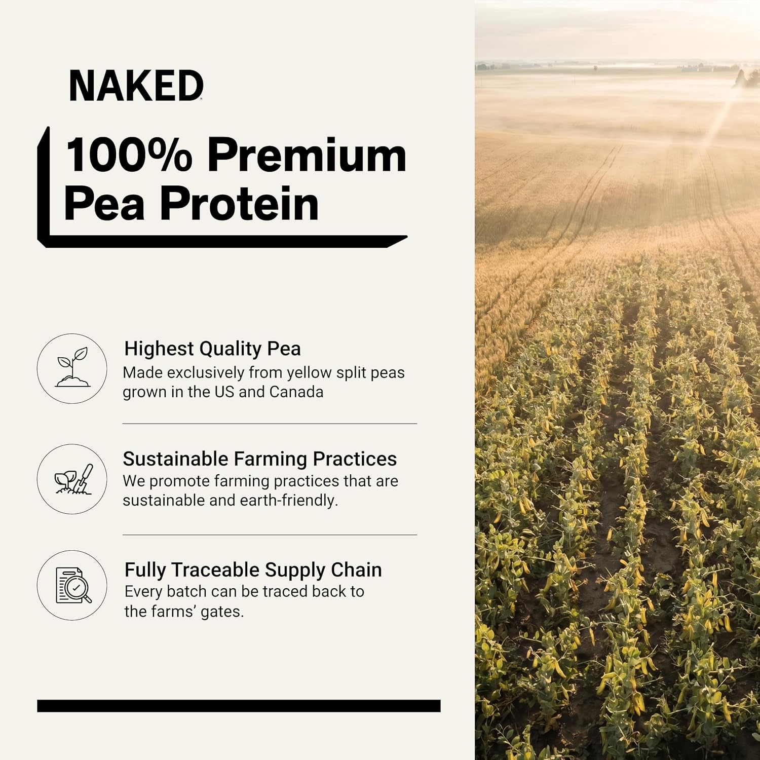 NAKED Pea - 5LB 100% Pea Protein Powder from North American Farms - Unflavored Vegan Pea Protein Isolate - NSF Certified, Plant Protein Powder, Easy to Digest - 76 Servings