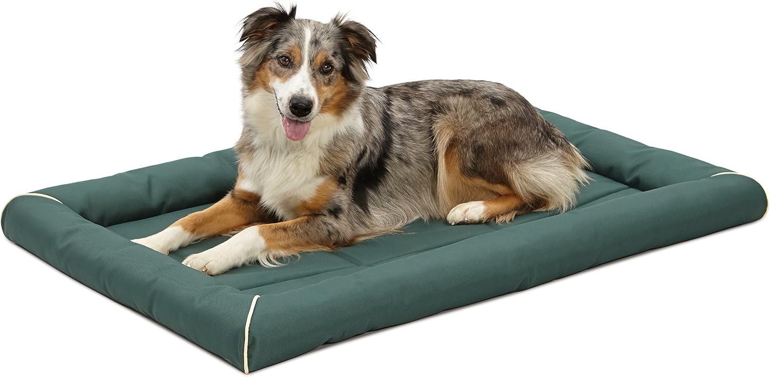 MidWest Homes for Pets Intermediate QuietTime MAXX Ultra-Rugged Dog Bed, Water & Odor Resistant, Bolstered Edge, Non-Slip Bottom, Fits 36-inch Crates, Black