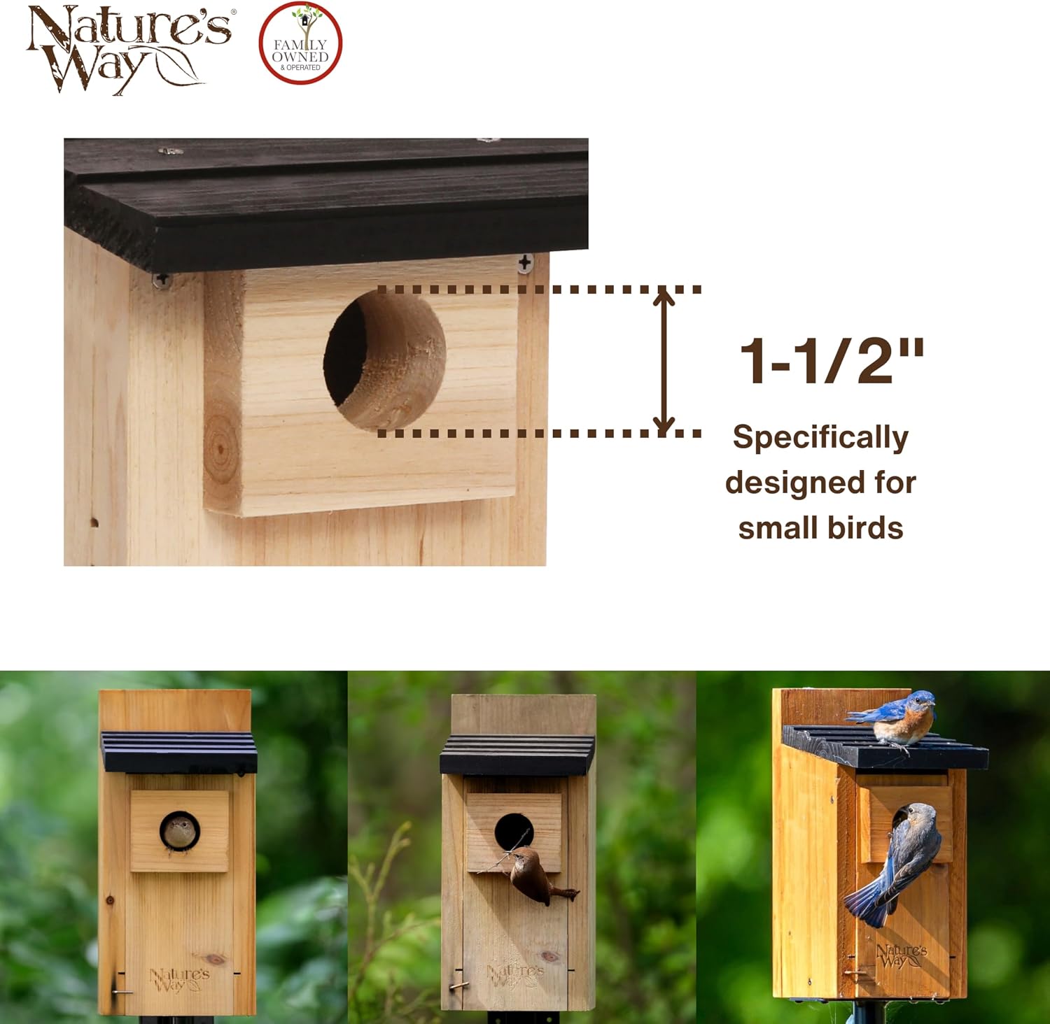 Wild Wings WWCH3 Cedar Blue Bird Box House