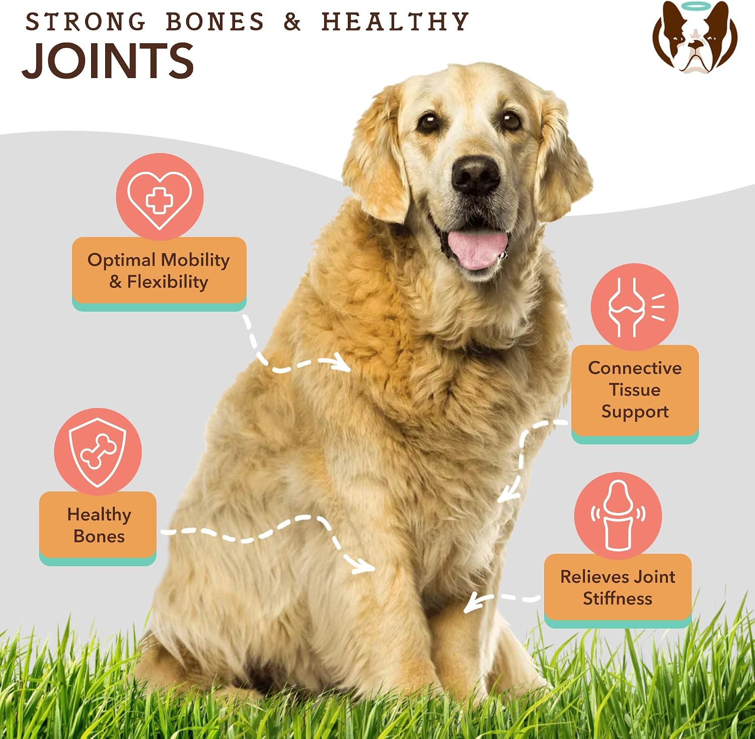 Natural Dog Company Liquid Glucosamine Hip & Joint Oil for Dogs, 16 oz, Extra Strength Cartilage & Joint Support, Helps Mobility and Eases Occasional Stiffness, Dog Vitamins & Supplements