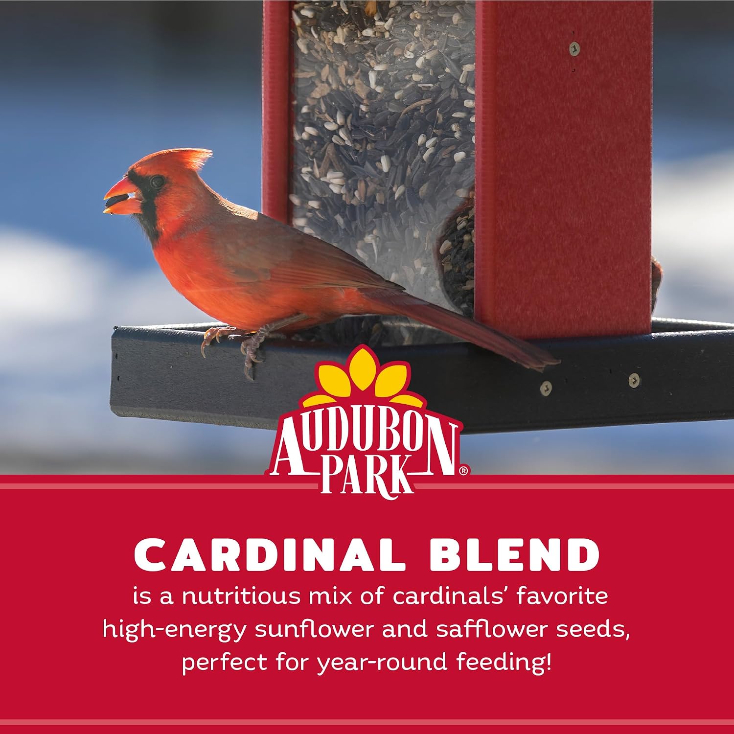 Audubon Park Cardinal Blend Wild Bird Food, Cardinal Bird Seed for Outside Feeders, 4-Pound Bag
