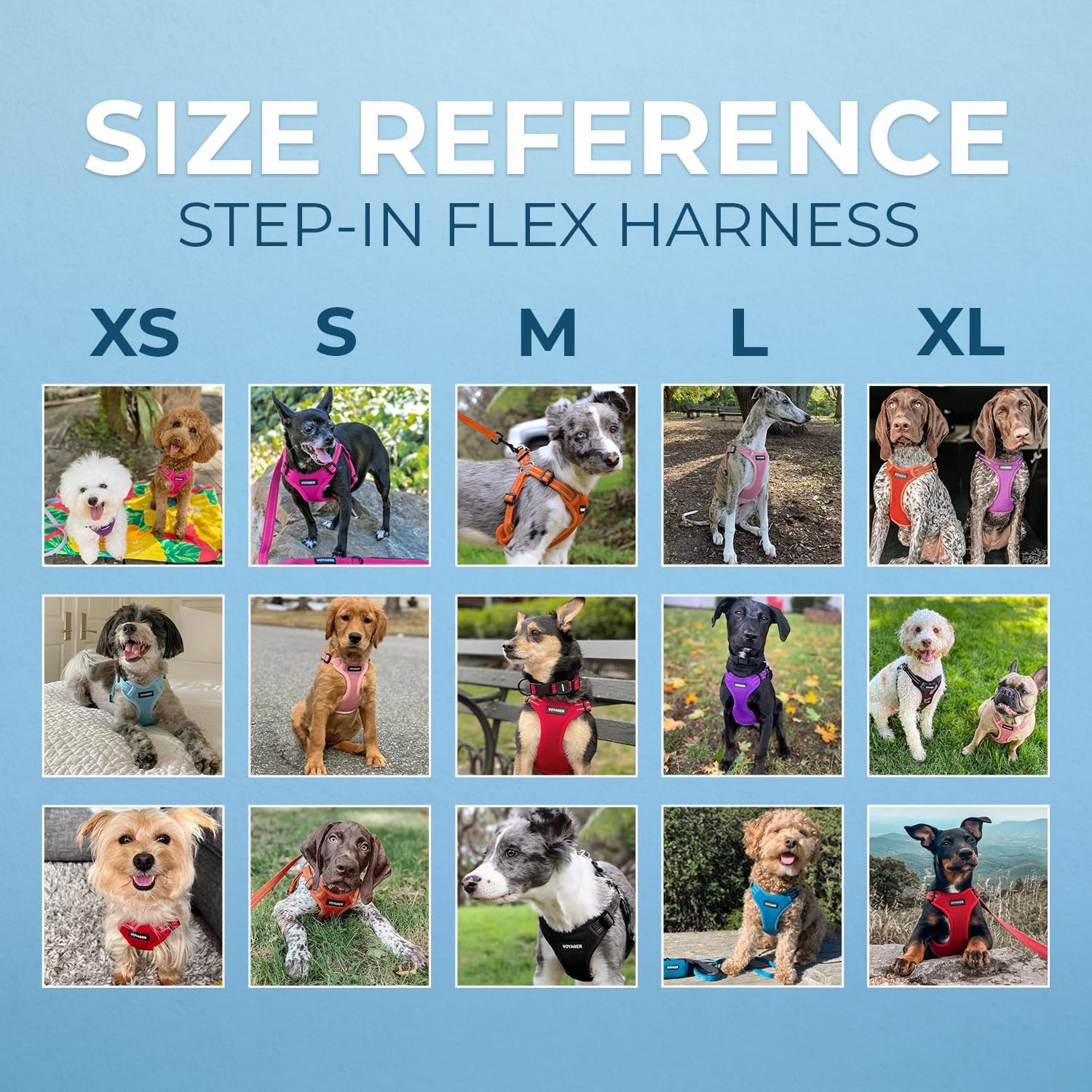 Voyager Step-in Flex Adjustable Dog Harness - Black, Medium | 17 - 21" in Chest, Fully Adjustable, Reflective Bands, All Weather Breathable Air Mesh, Lightweight, Fast Drying