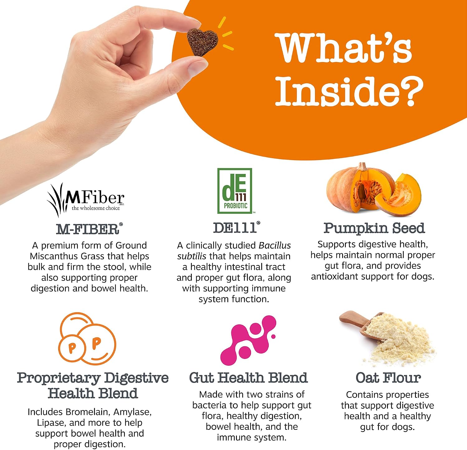 Zesty Paws Probiotics for Dogs - Digestive Enzymes for Gut Flora, Digestive Health, Diarrhea & Bowel Support - Clinically Studied DE111 - Dog Supplement Soft Chew for Pet Immune System - Pumpkin, 90ct