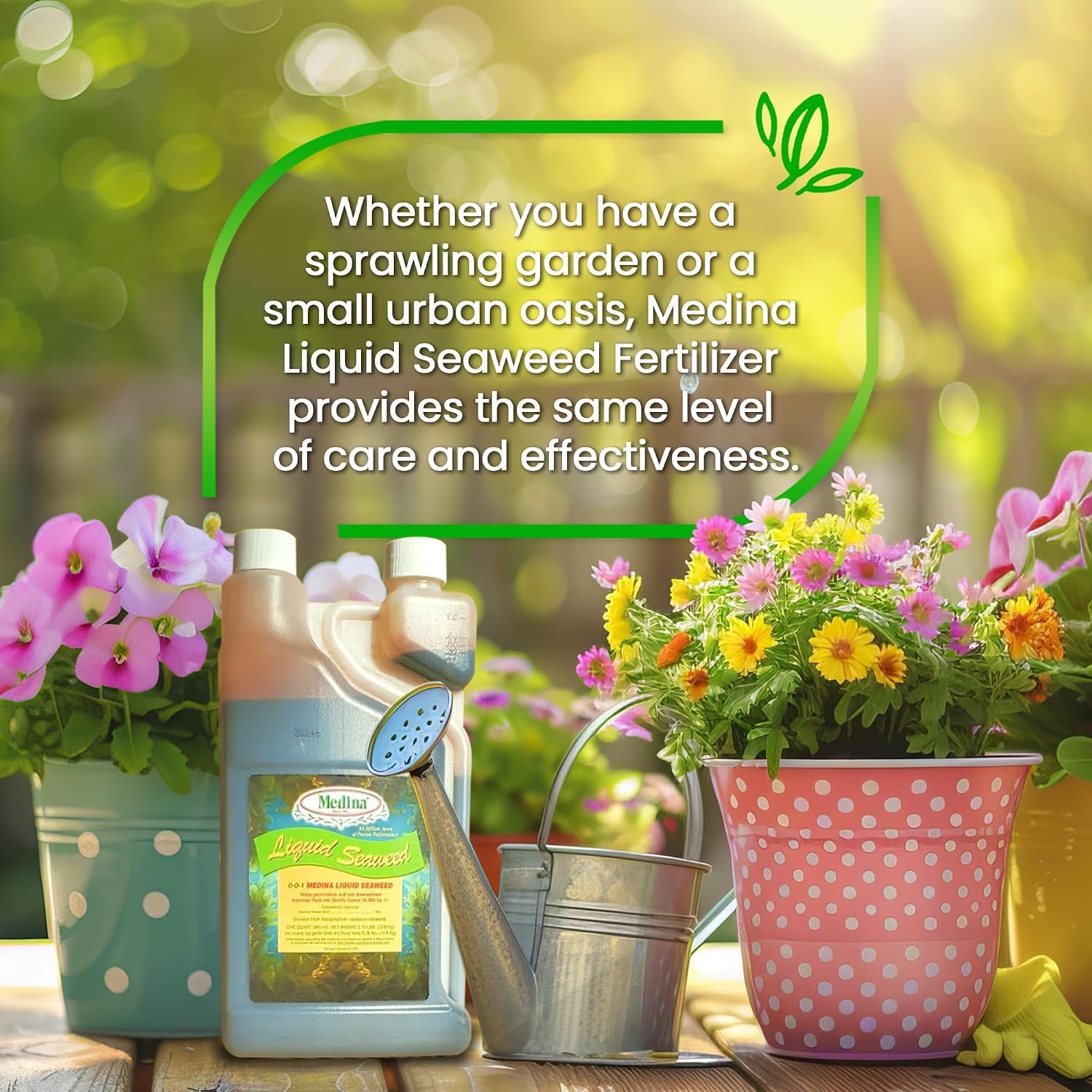 Medina Liquid Seaweed Fertilizer, 1 Gallon | For Plants, Concentrated, Lawn and Garden, Enhances Plant Growth and Soil Health, Ready to Spray, Covers 64000 Sq. Ft.